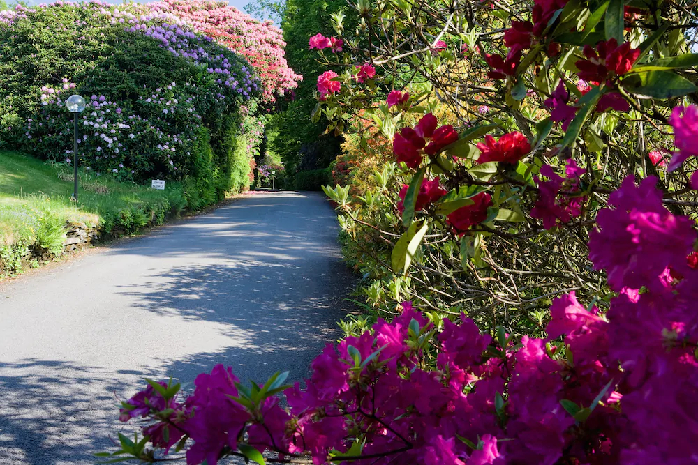 Lindeth Fell Country House