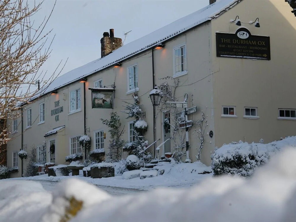 The Durham Ox