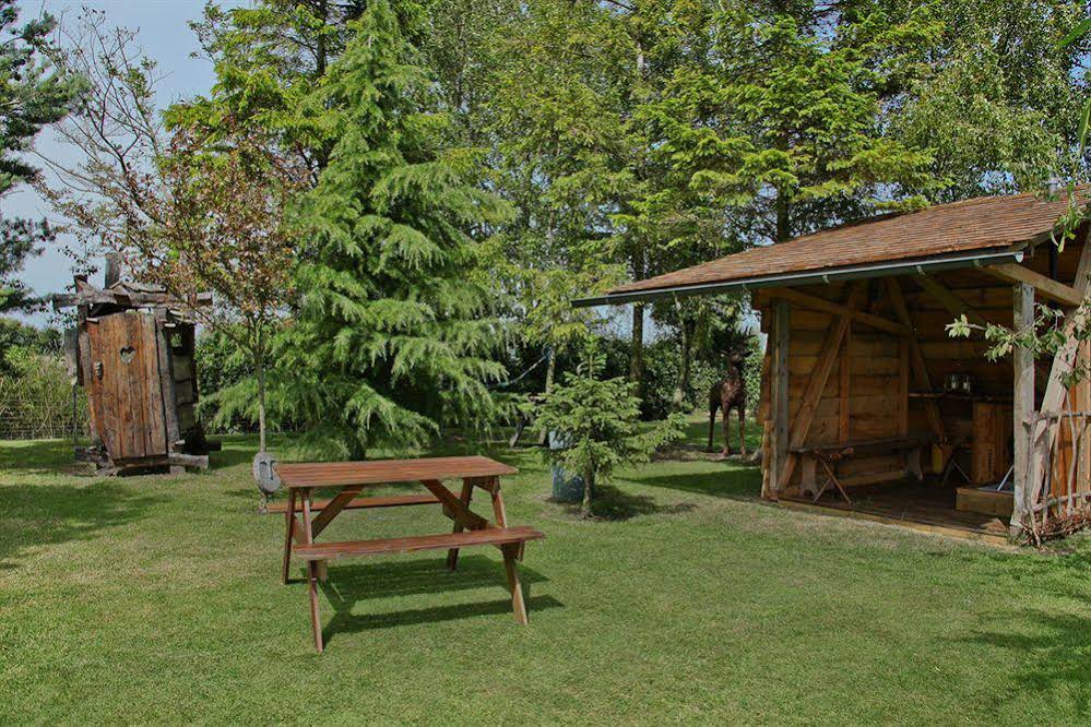Box Bush Cottage - B&B