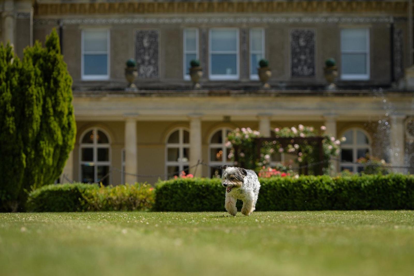 Down Hall Hotel & Spa