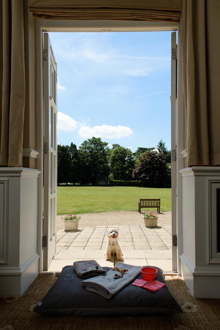Down Hall Hotel & Spa