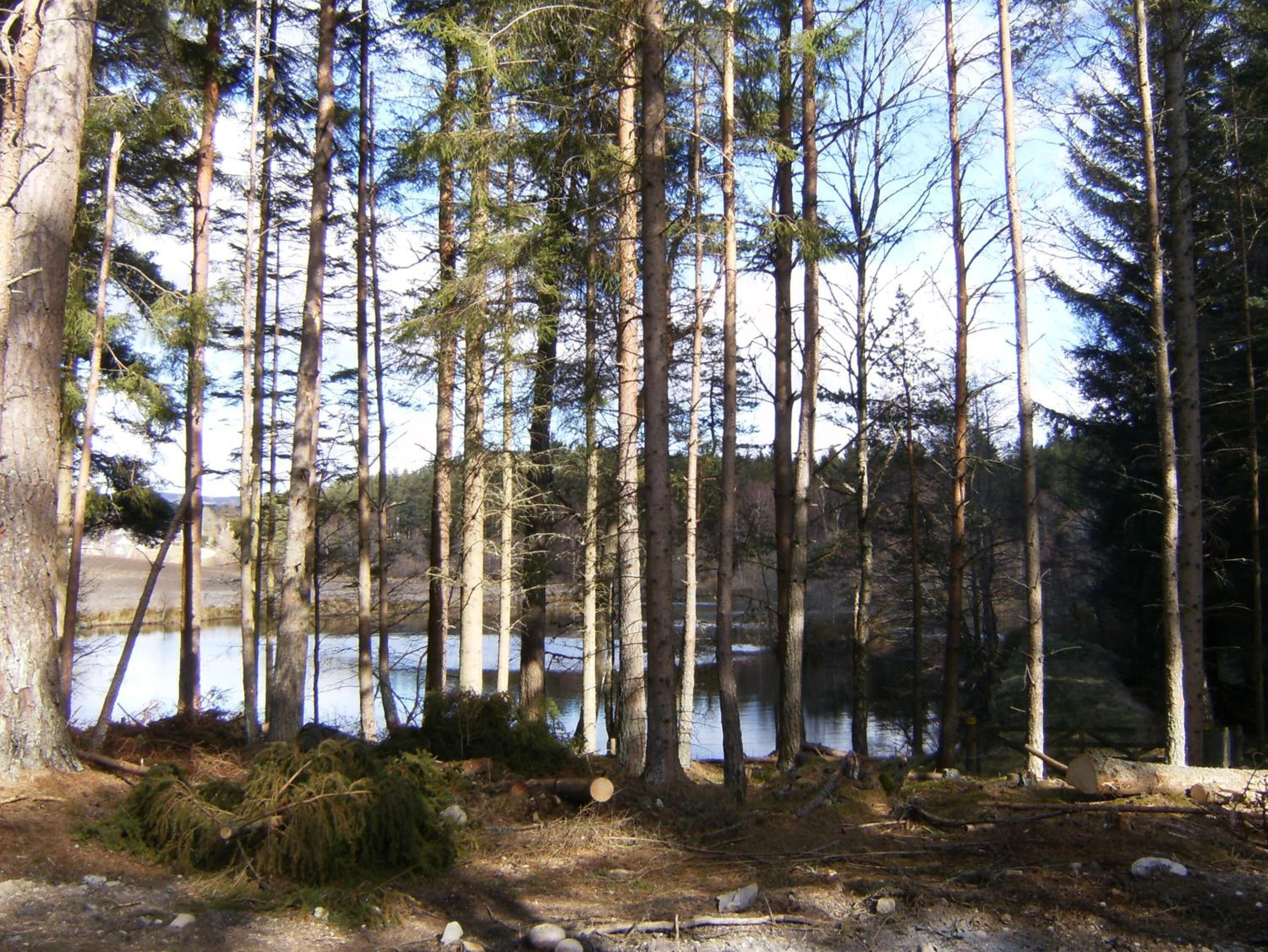 CAIRNGORM LODGES