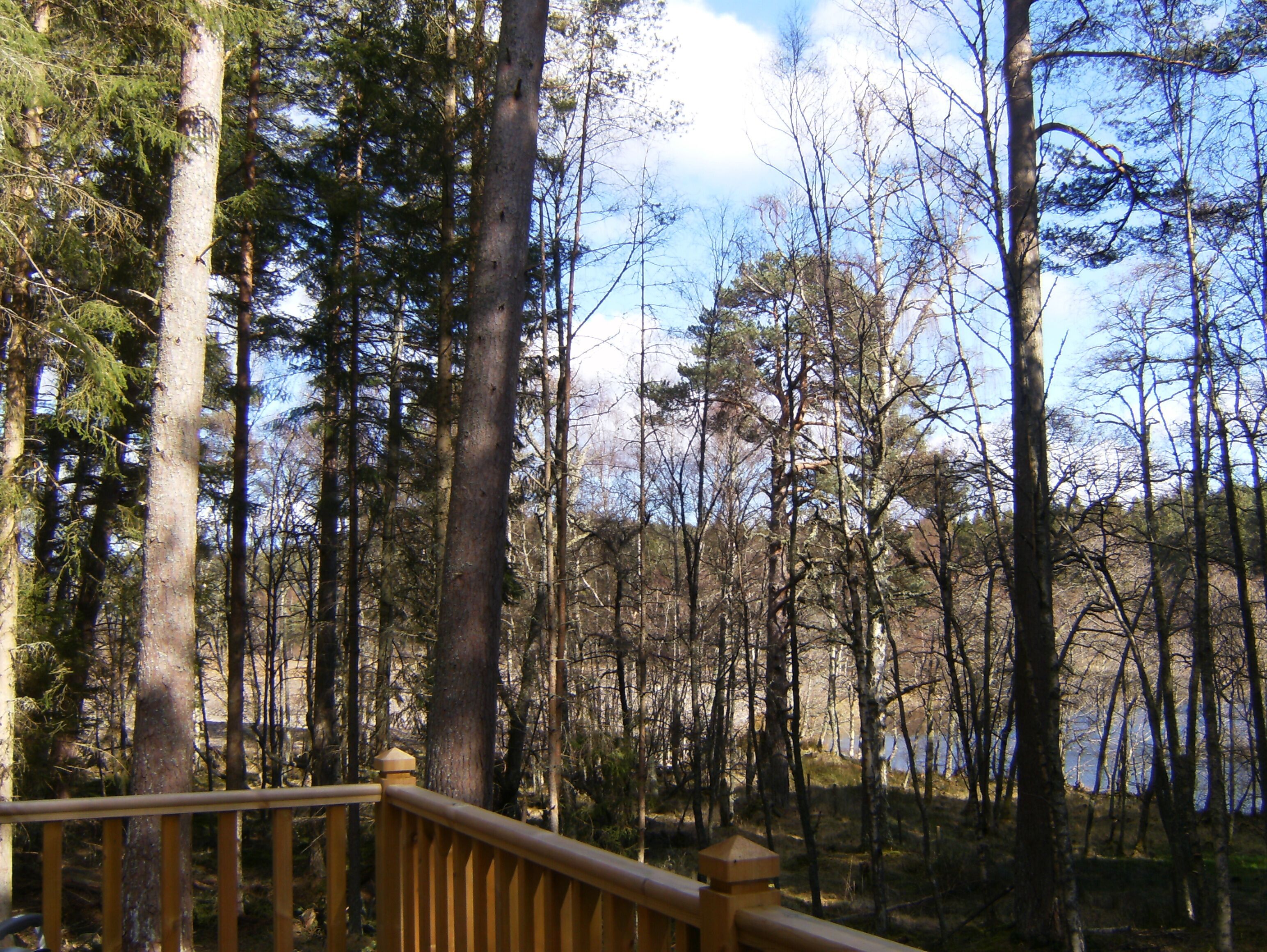 CAIRNGORM LODGES
