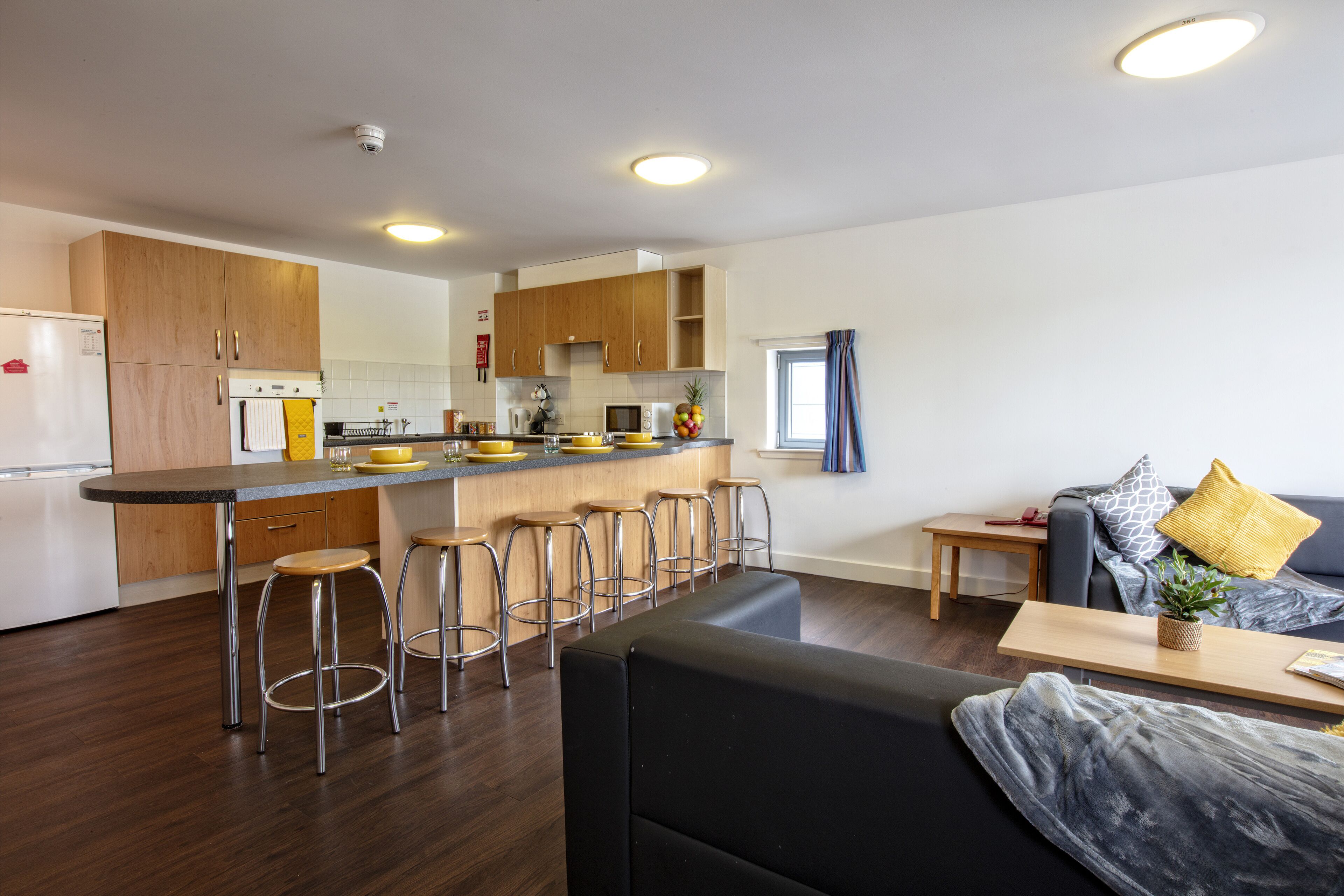Belmont Apartments And Rooms