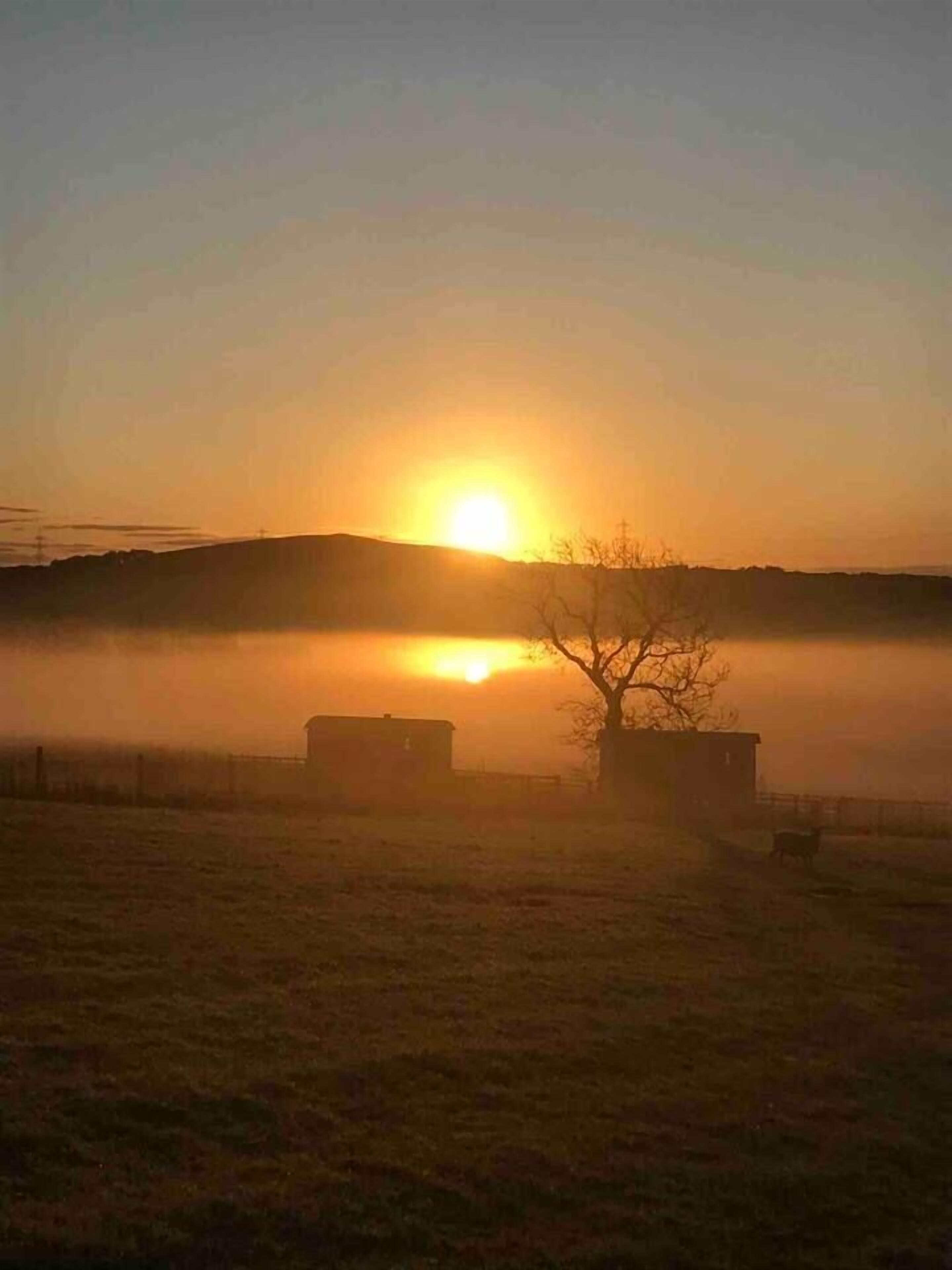 Craigduckie - Shepherds Huts
