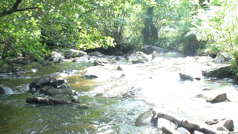 Country Retreats At Butterstone