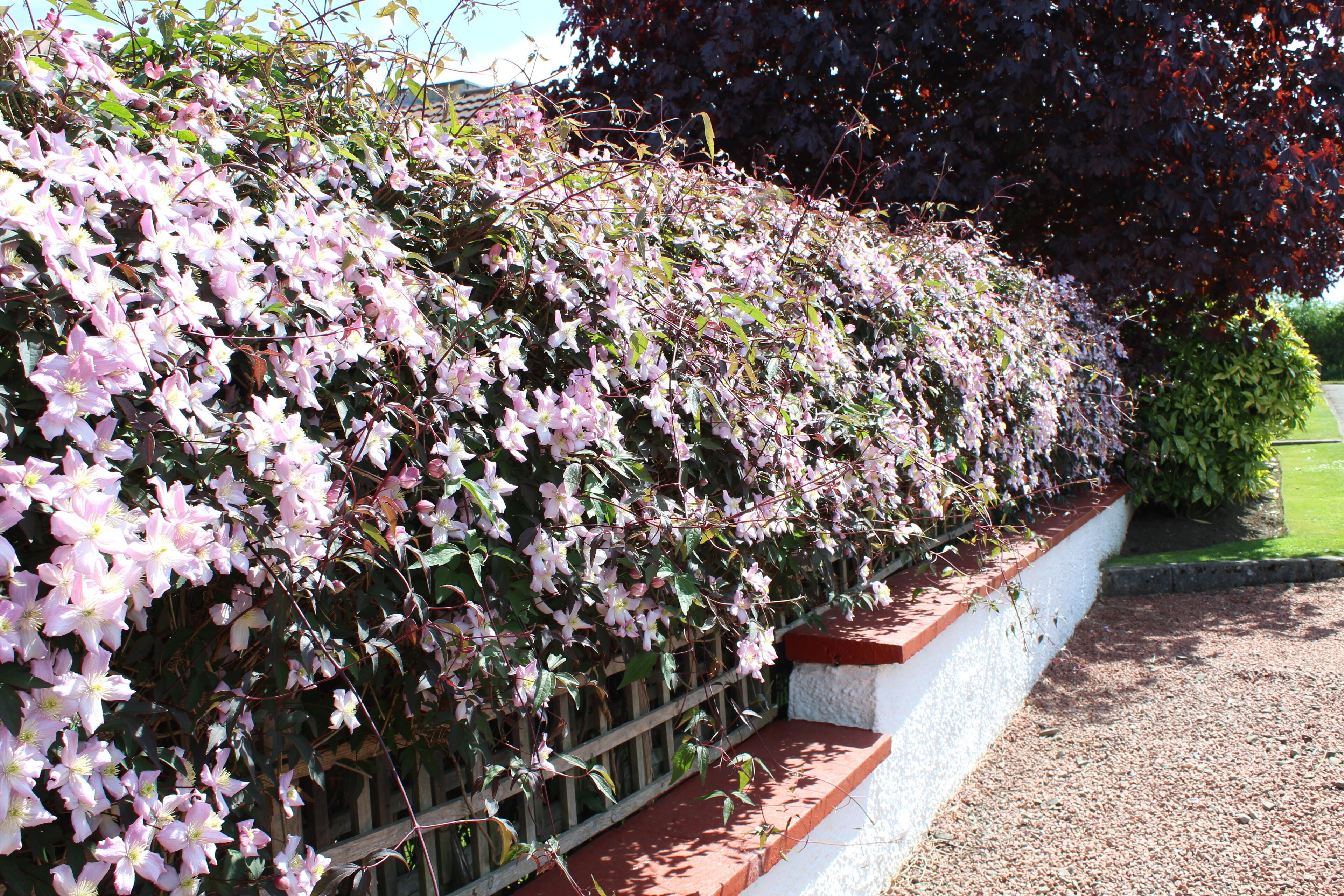 Whitecroft Bed and Breakfast