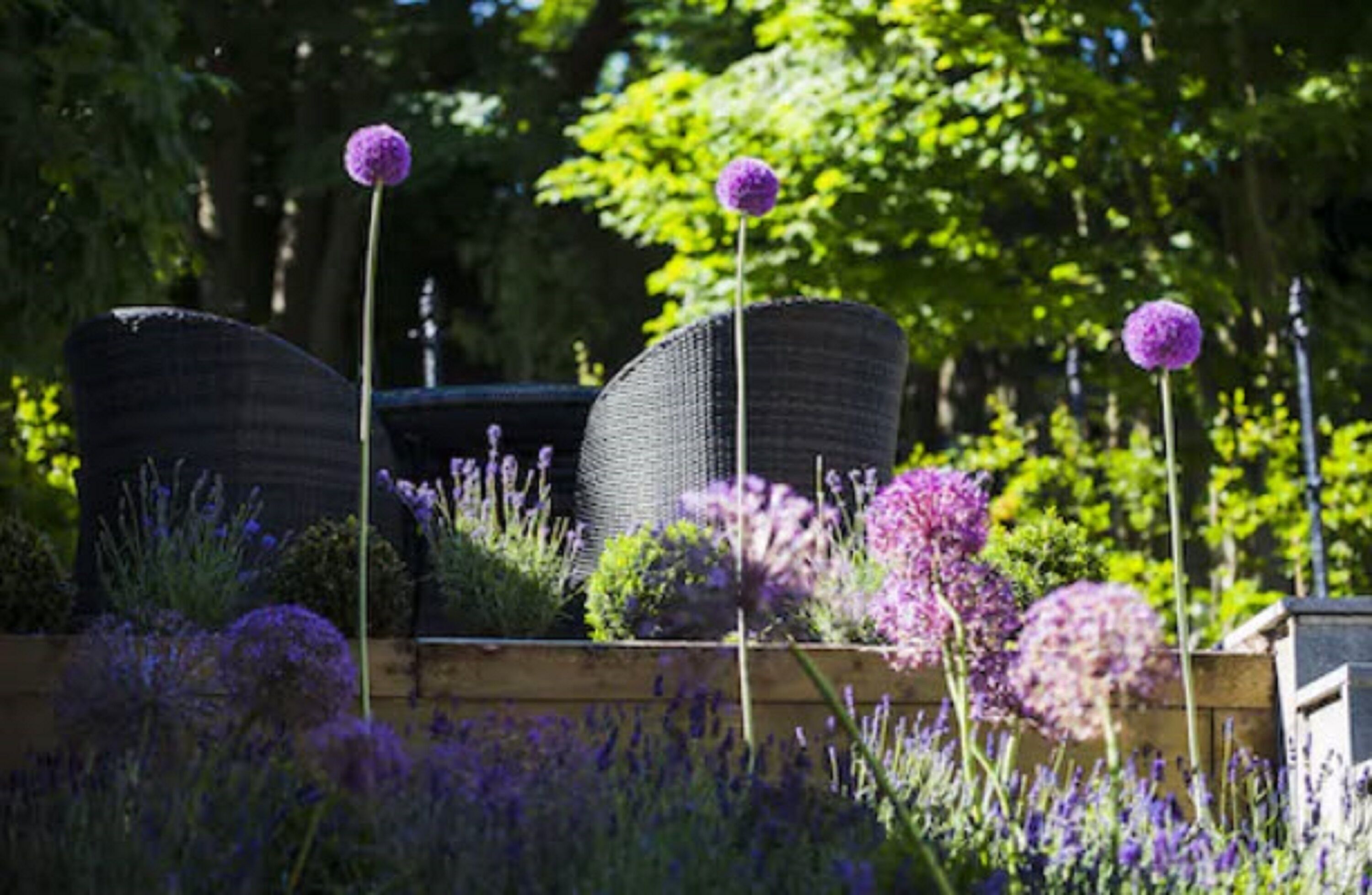 24 Royal Terrace Hotel