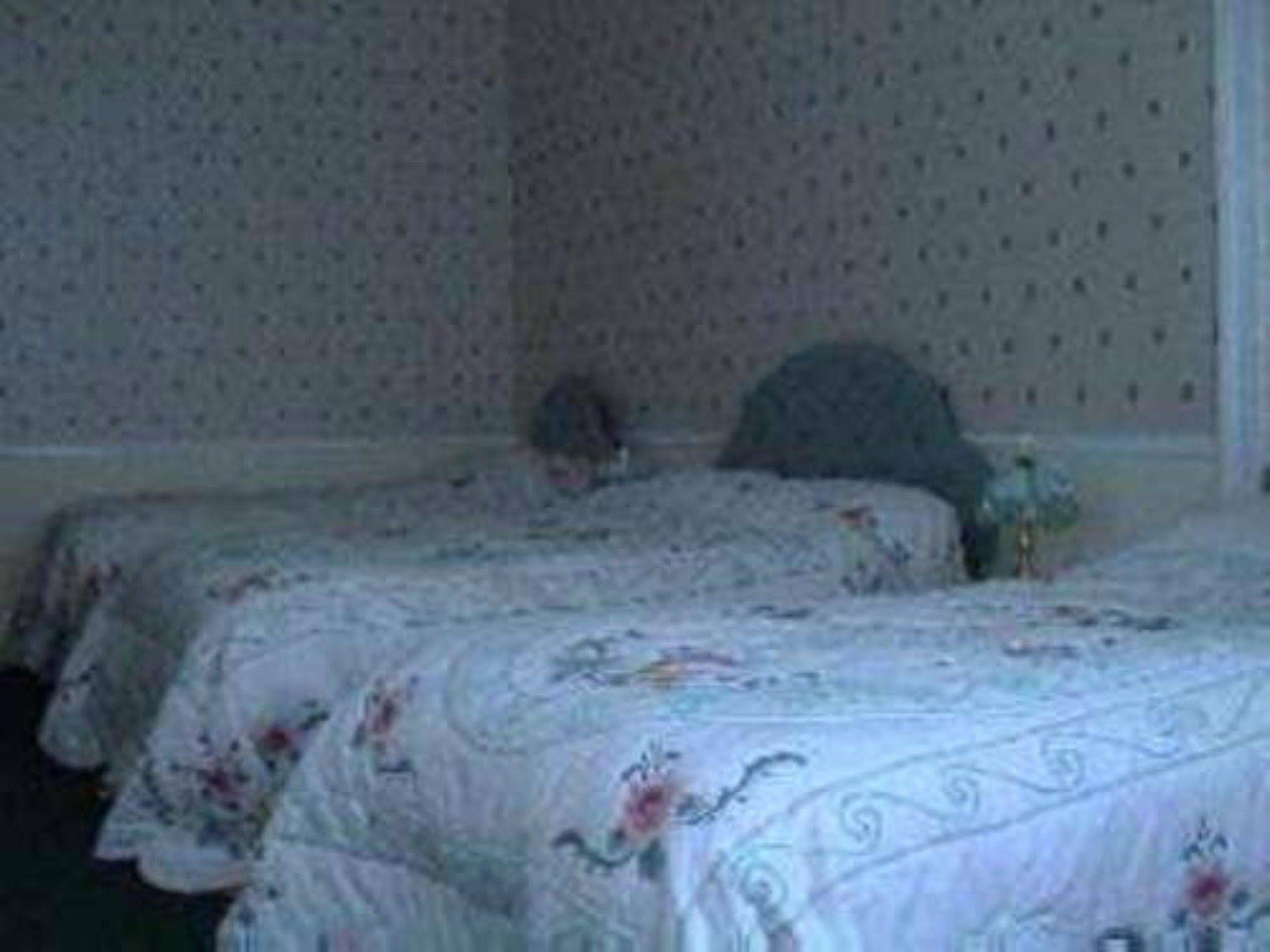Capital Guest House