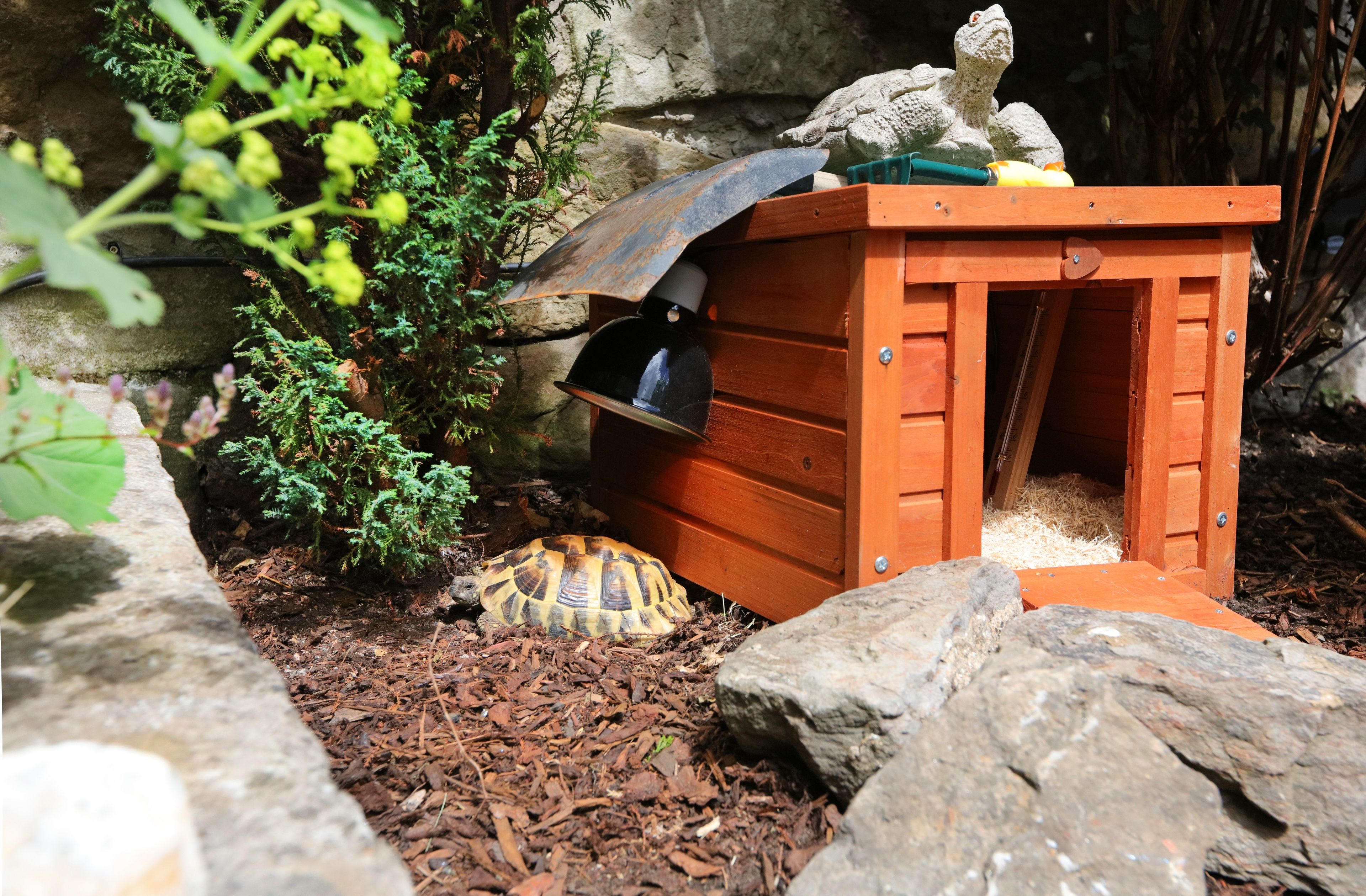 Lauderville Guest House