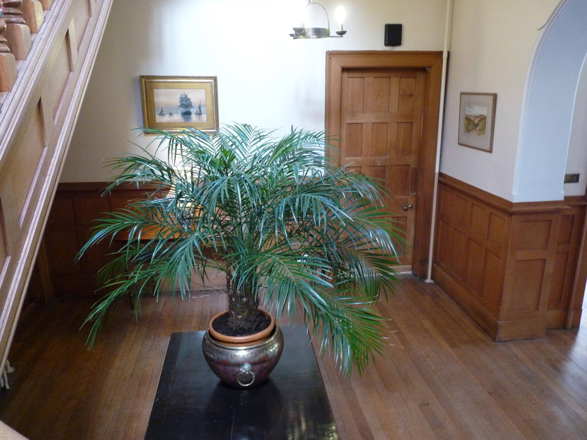 Ardgye House