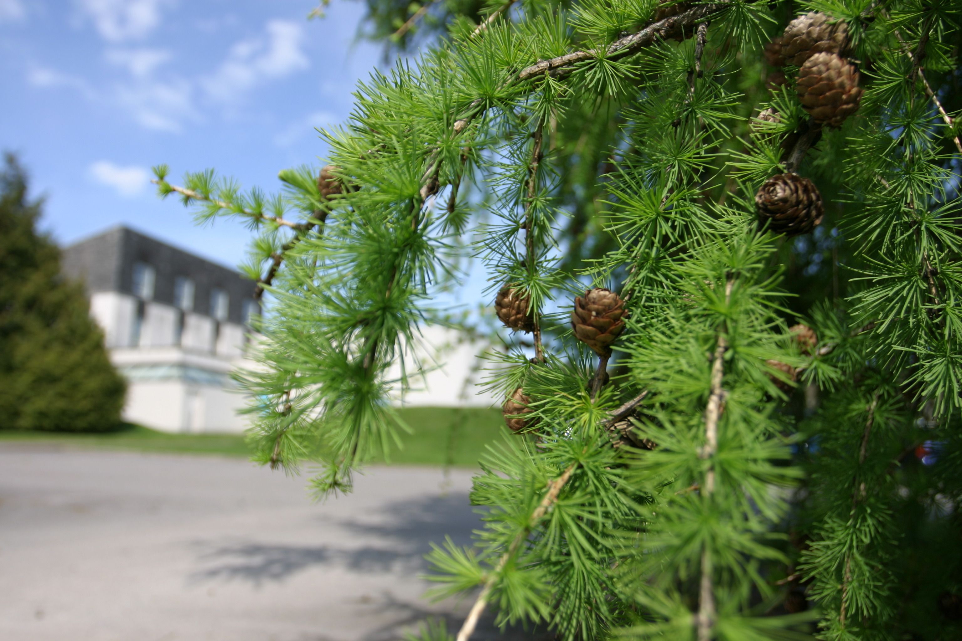 Eight Acres Hotel & Spa