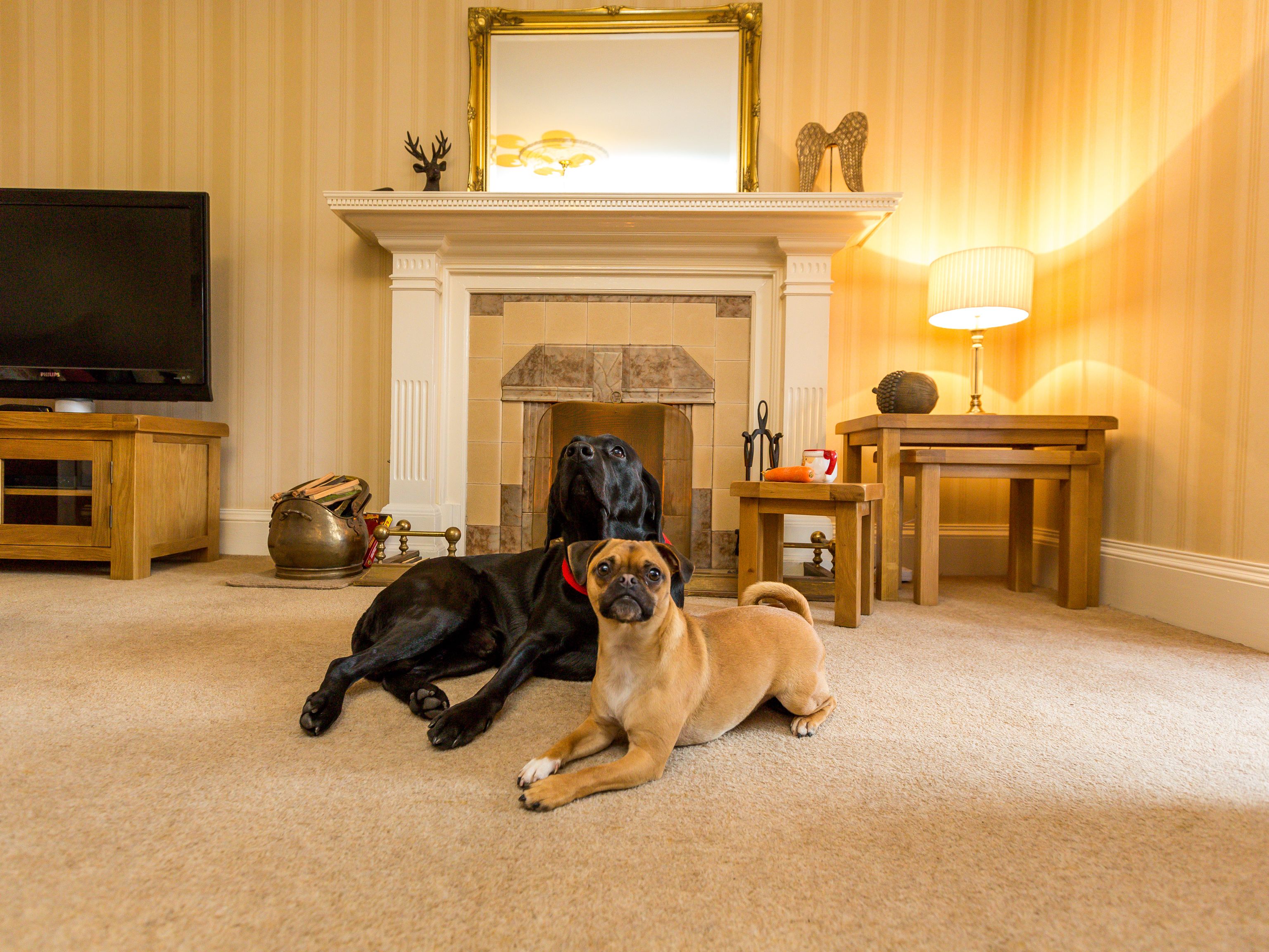 Vicarsford Farmhouse