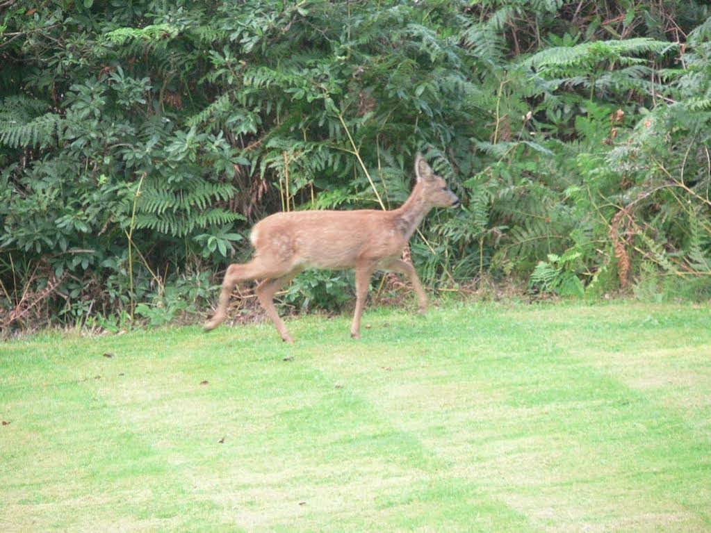 Foyers Bay Country House