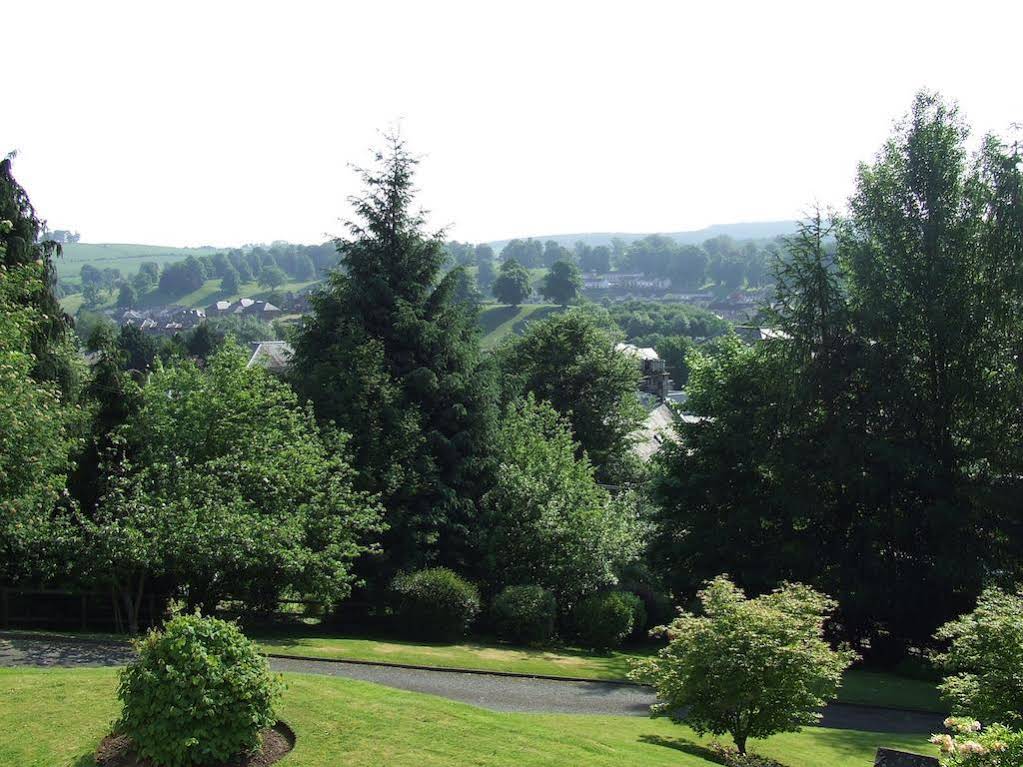 Willow Court