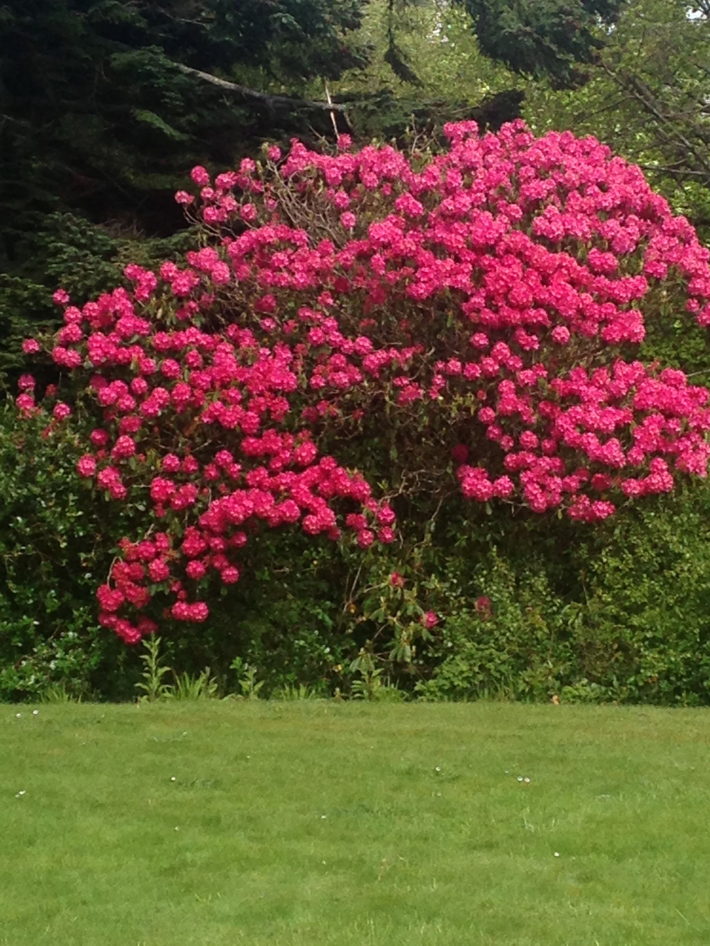 Isle of Skye Guest House