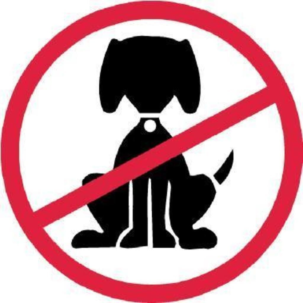 Lady Galloway Lodges