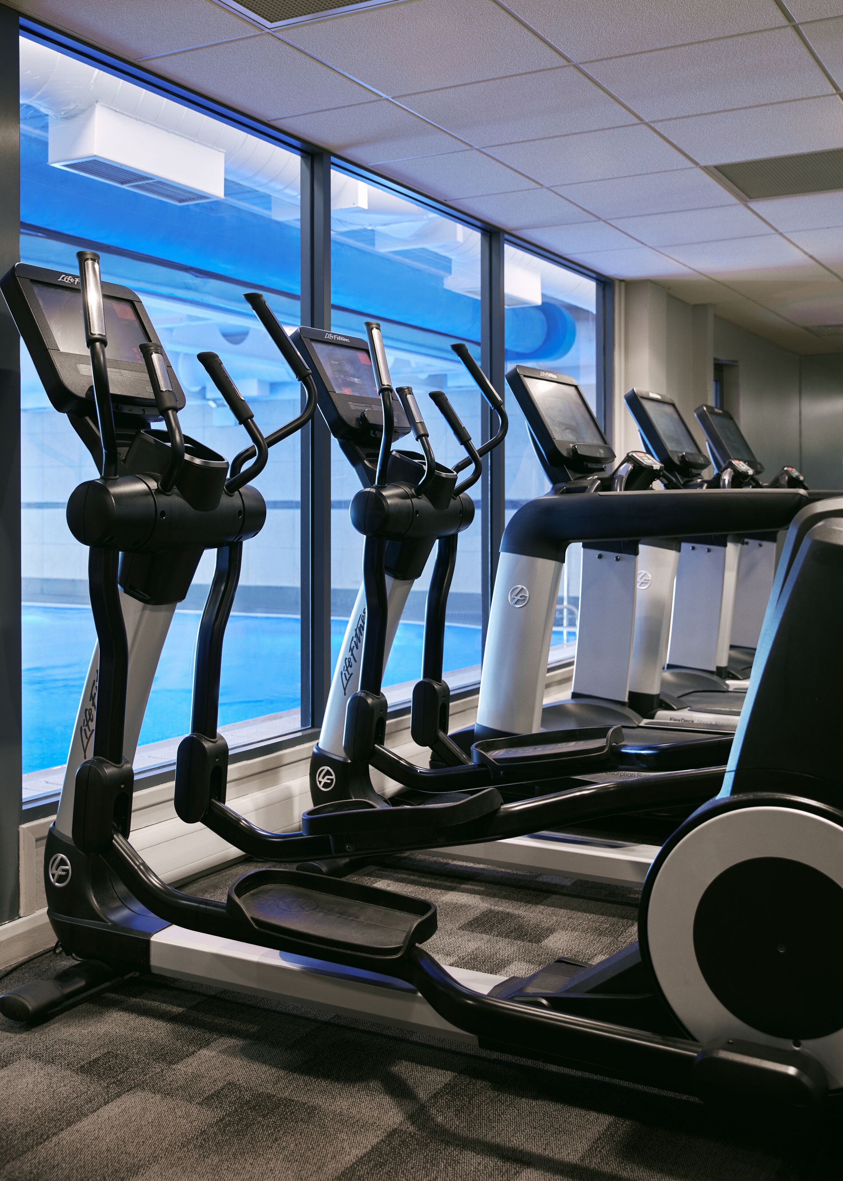 Marine North Berwick