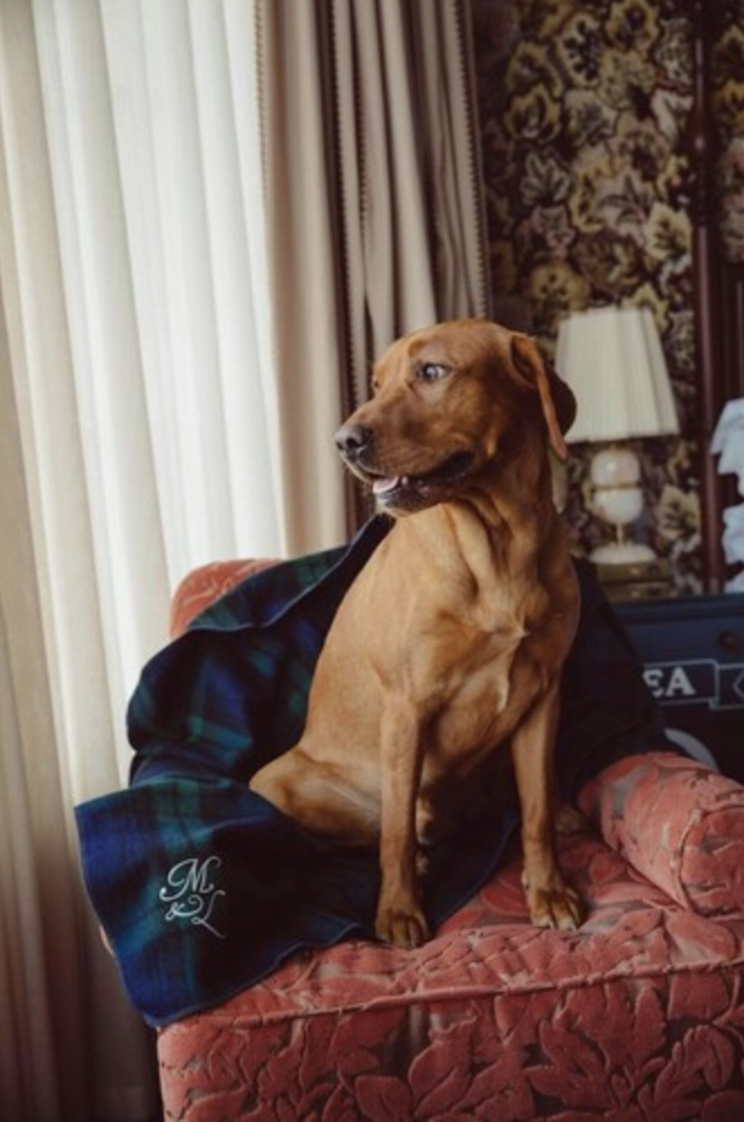 Marine North Berwick