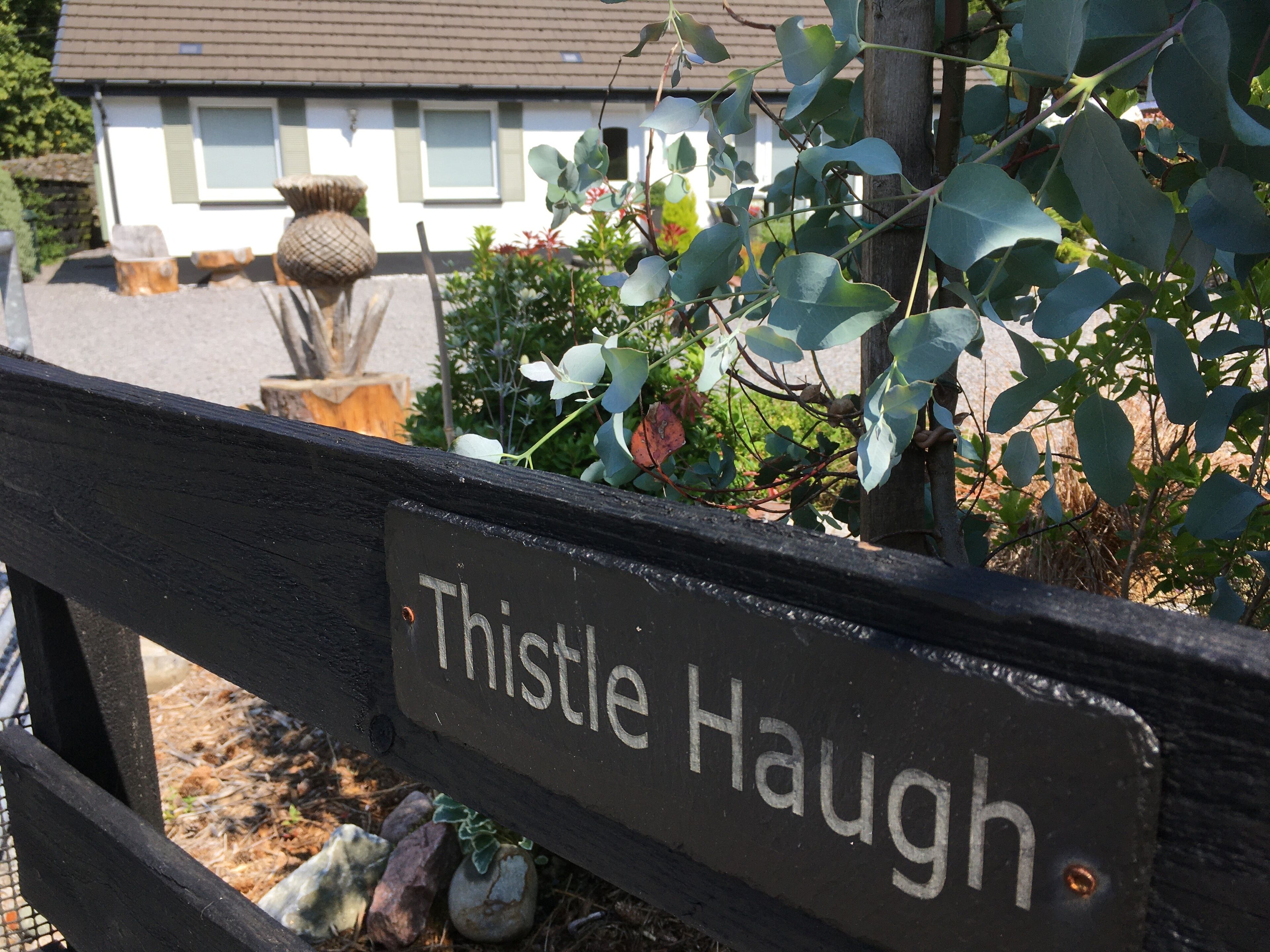 Thistle Haugh