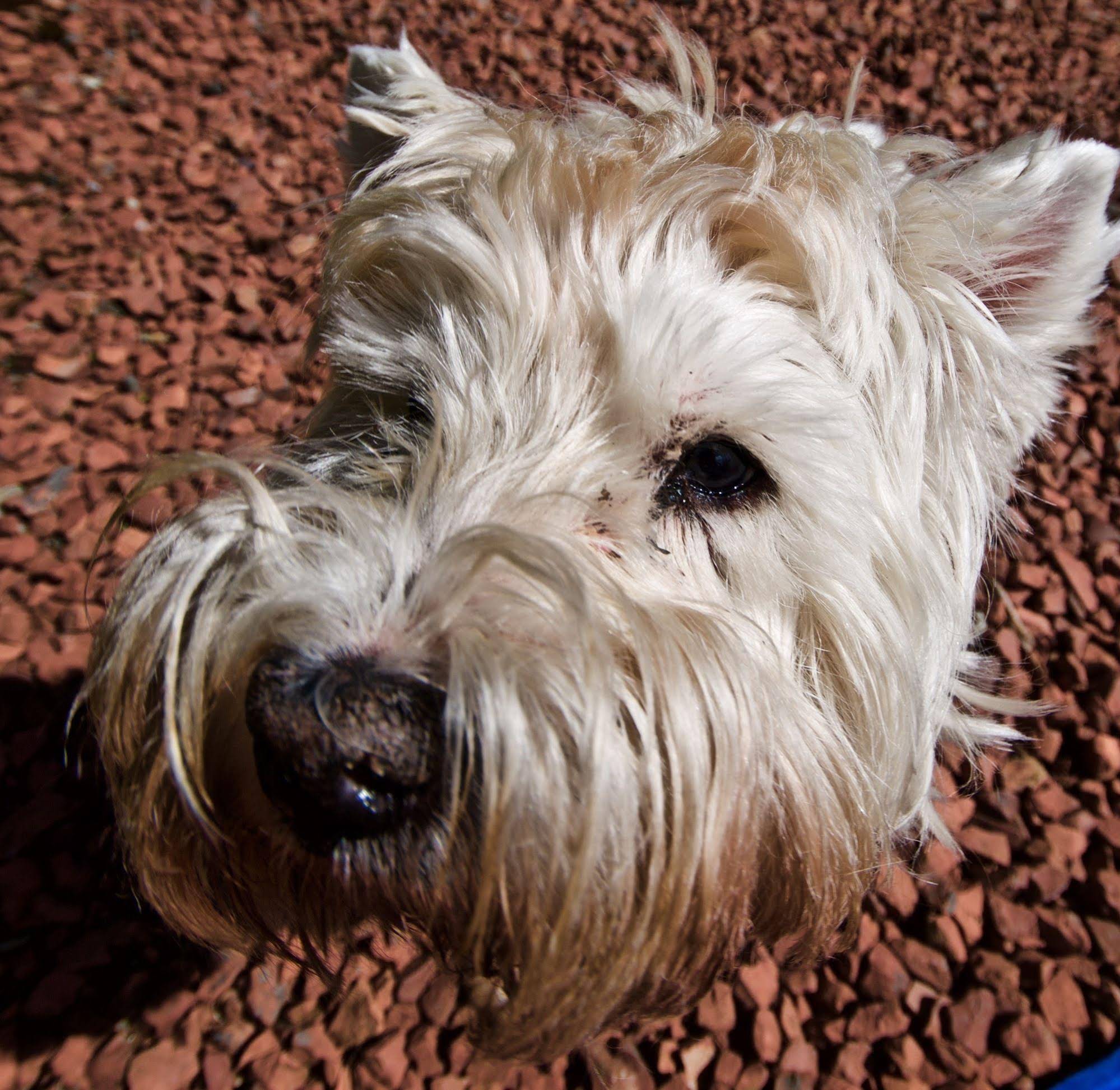 Muirholm Bed & Breakfast