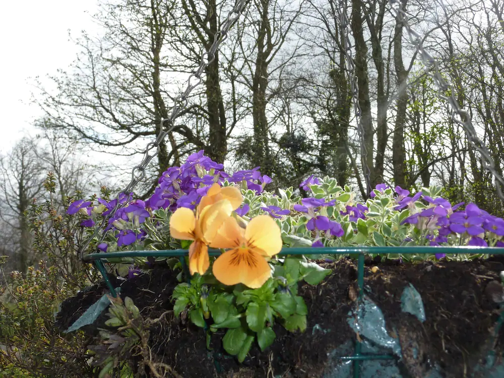 Conusg Bed and Breakfast