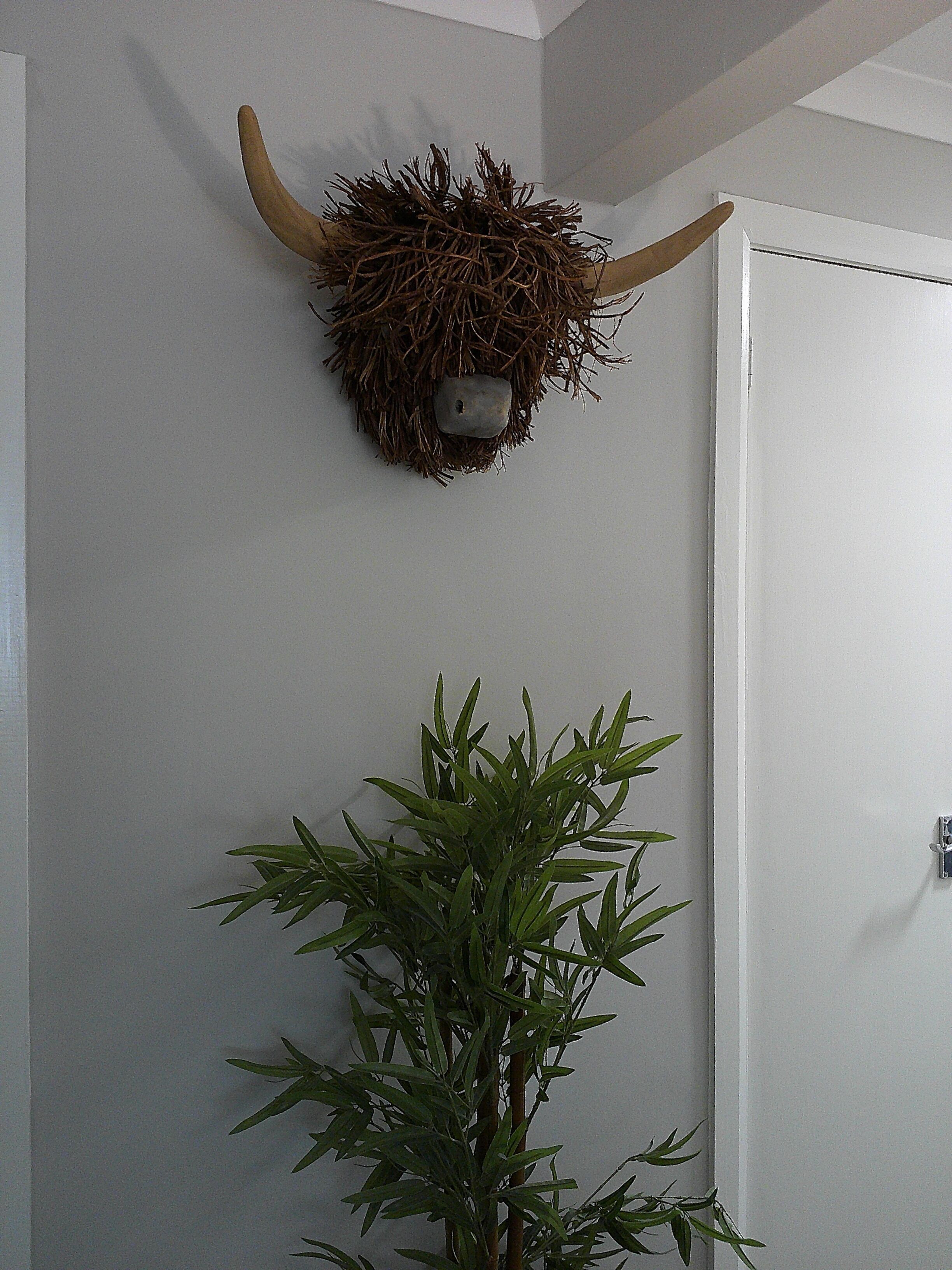 Sgurr Alasdair B&B