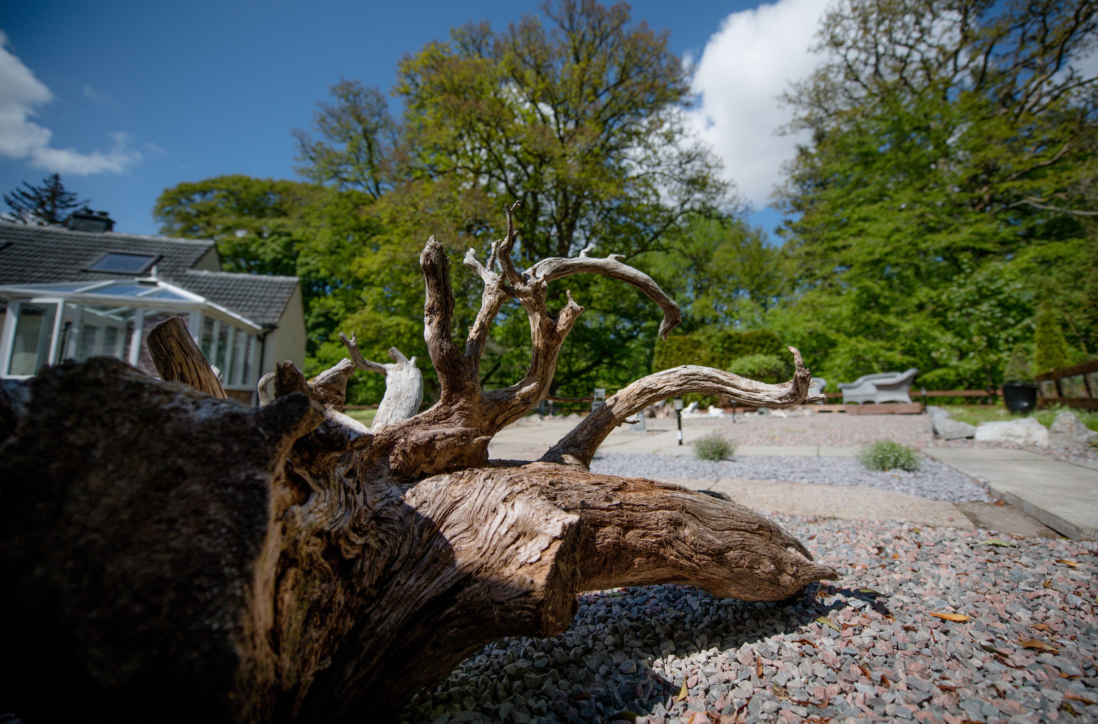 Birchbank B&B