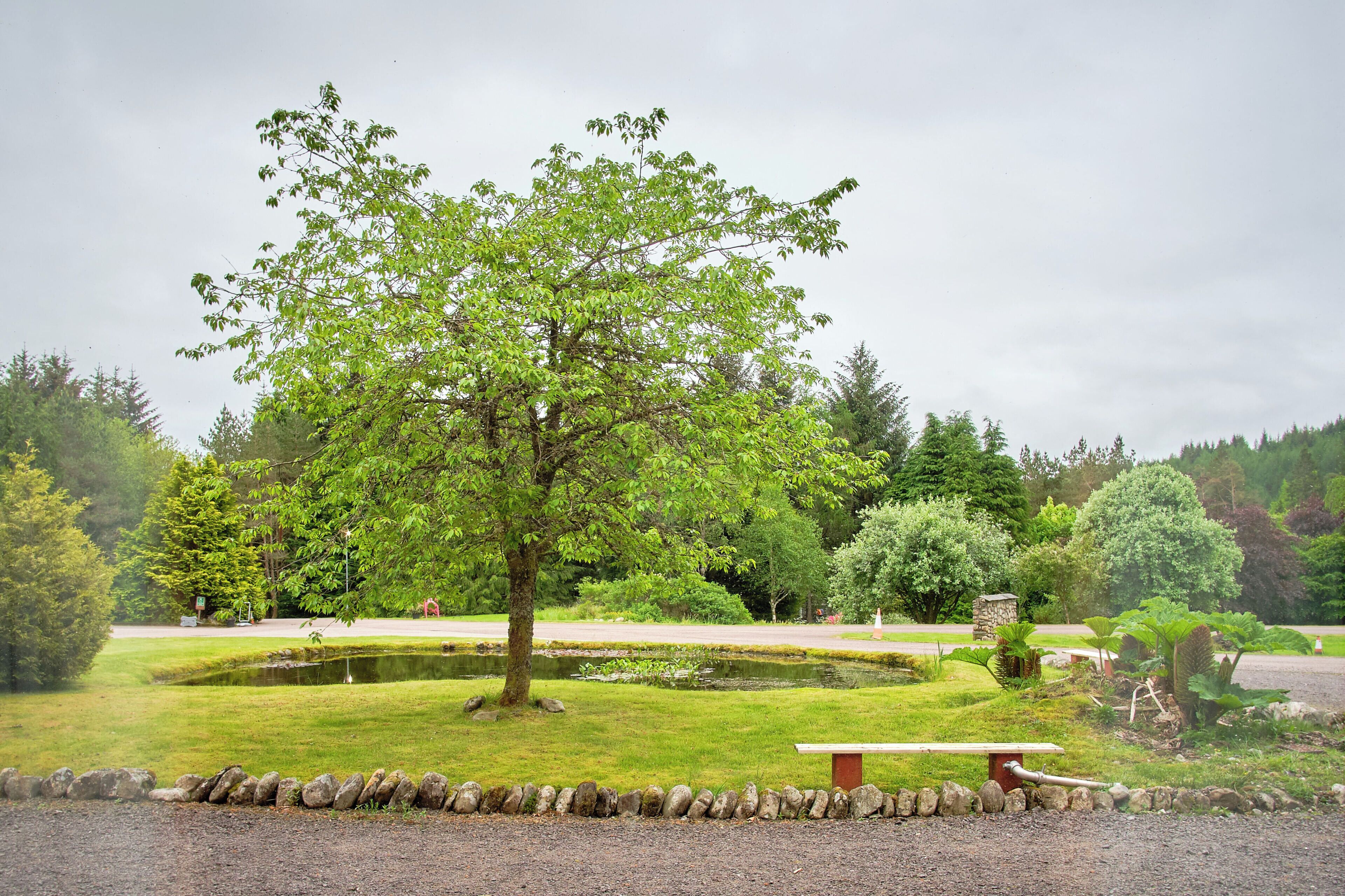 Muthu Ben Doran Hotel