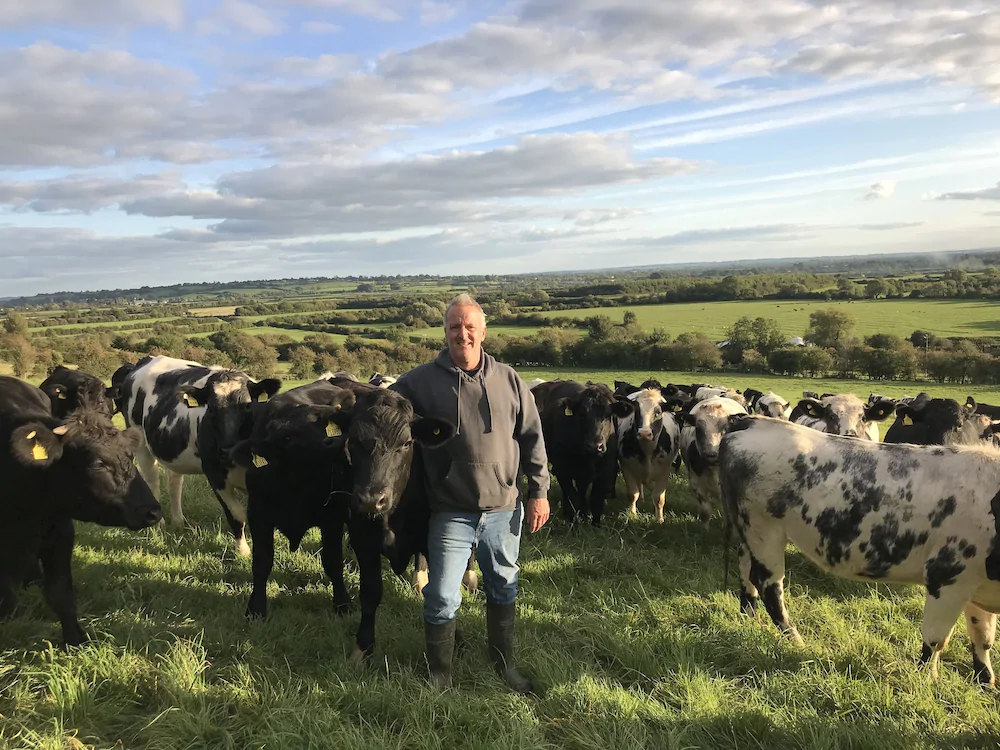 Webbington Farm & Holiday Cottages