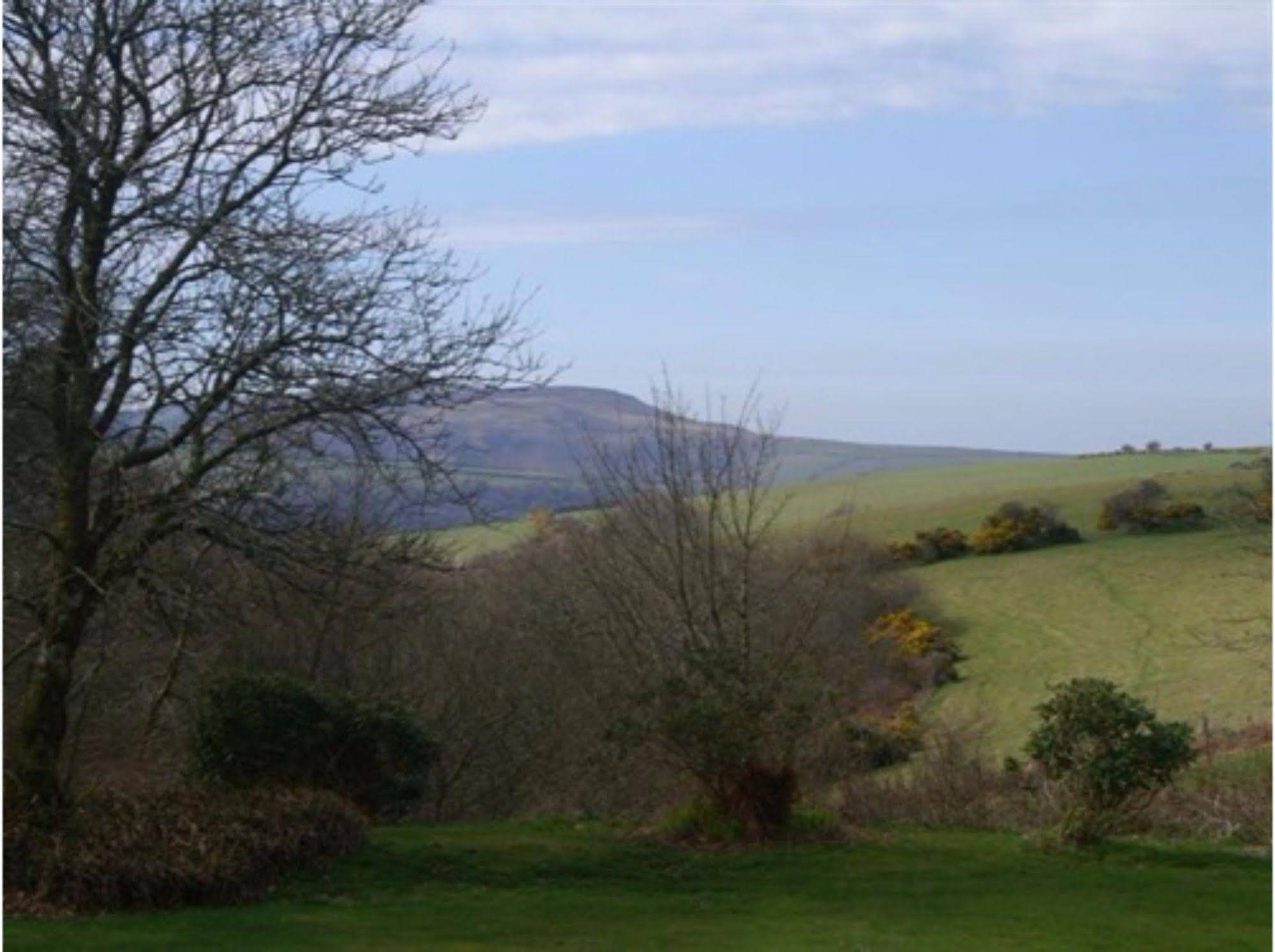 Moorlands - Guest house