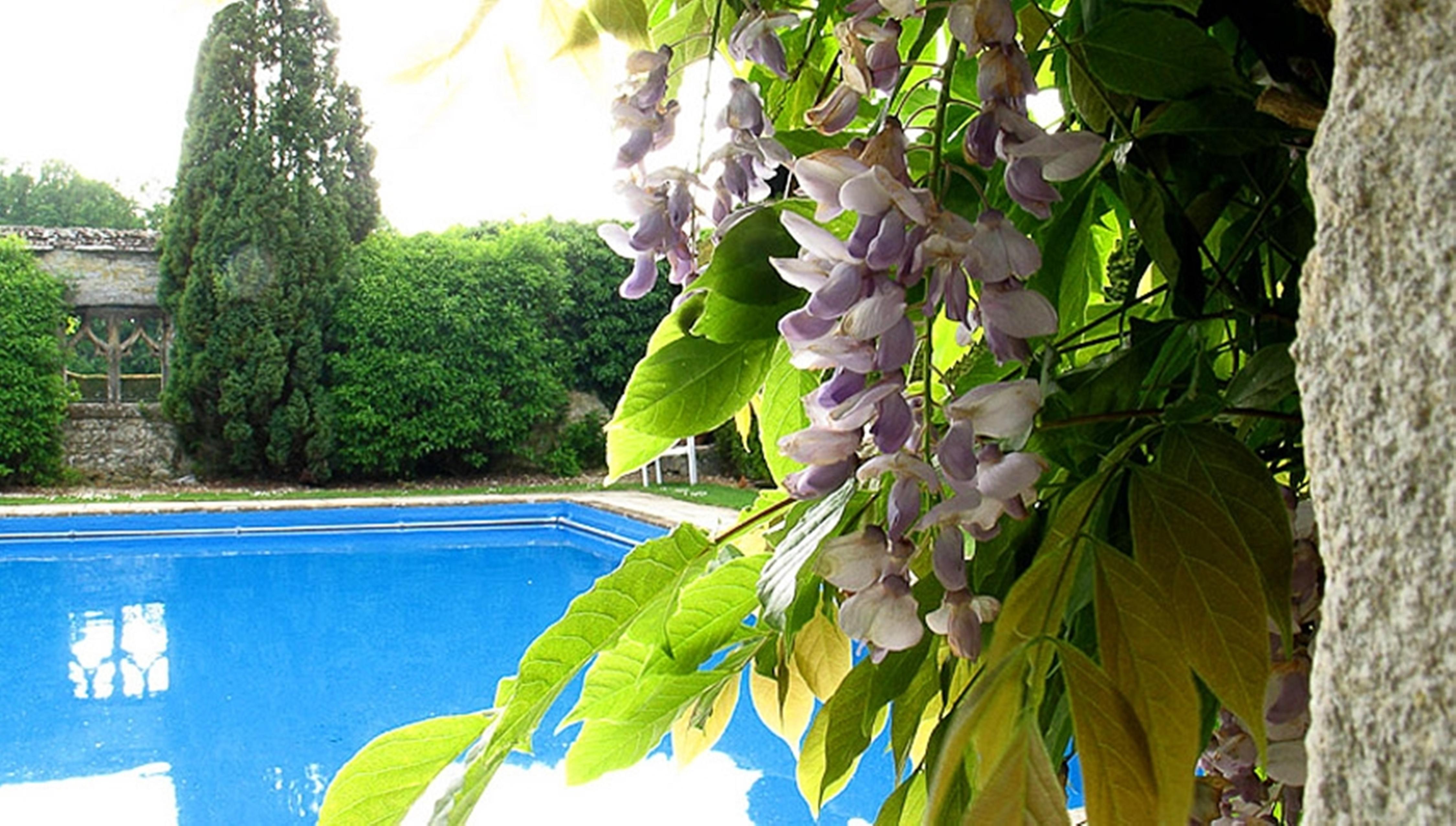 The Manor Country House hotel