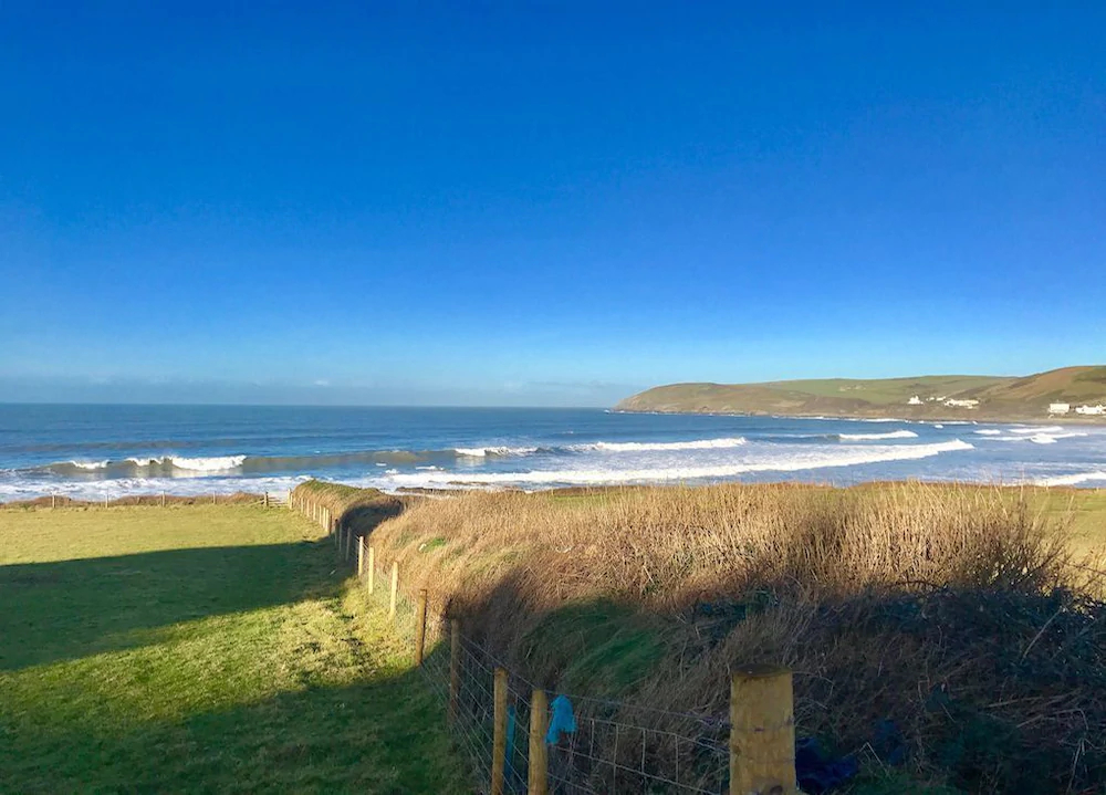 Croyde Marram