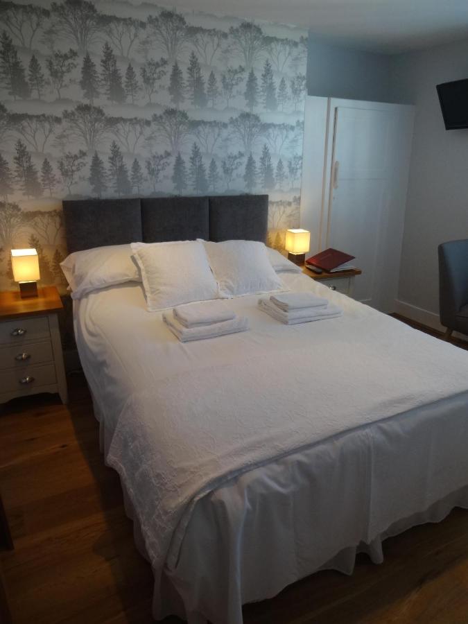 Aquarium Guest House
