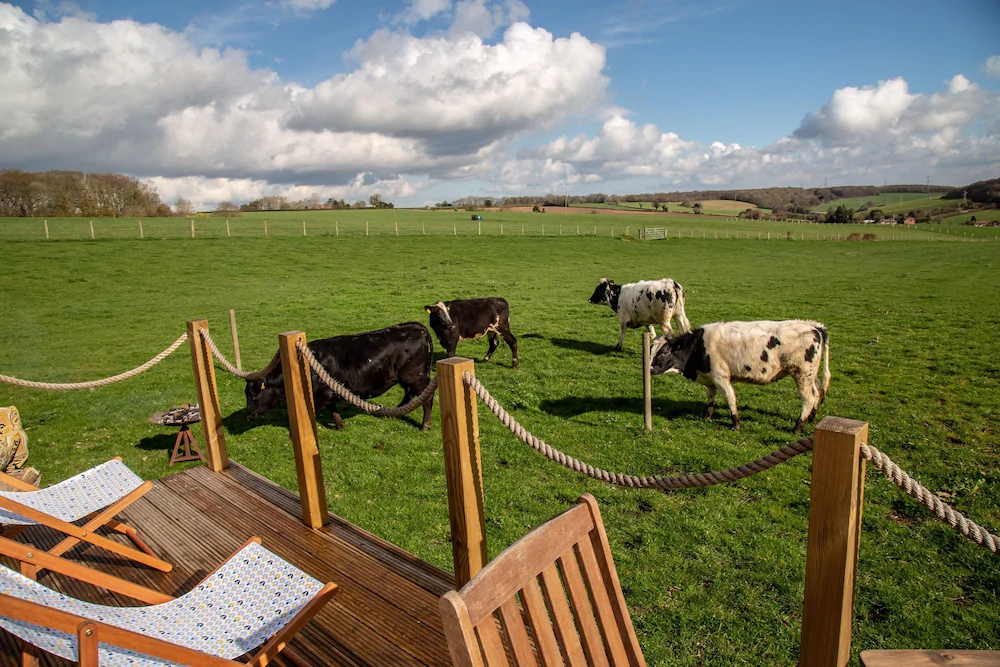 Broxhall Farm