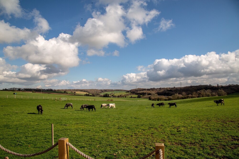 Broxhall Farm