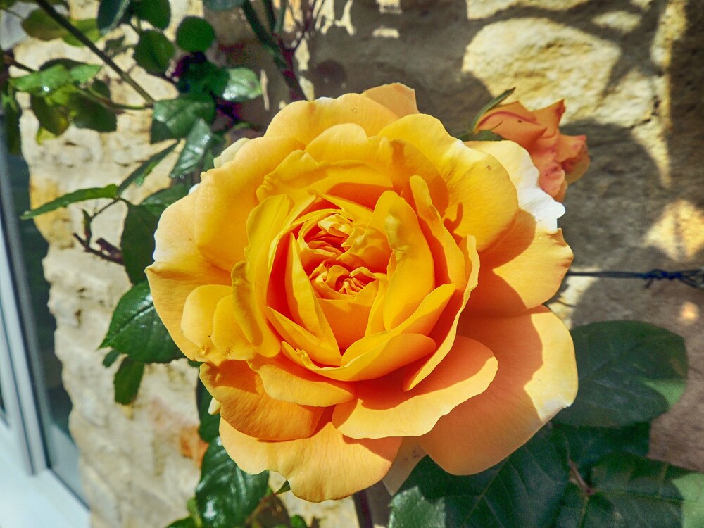 Cotswold Cottage Gems Rathbone Cottage