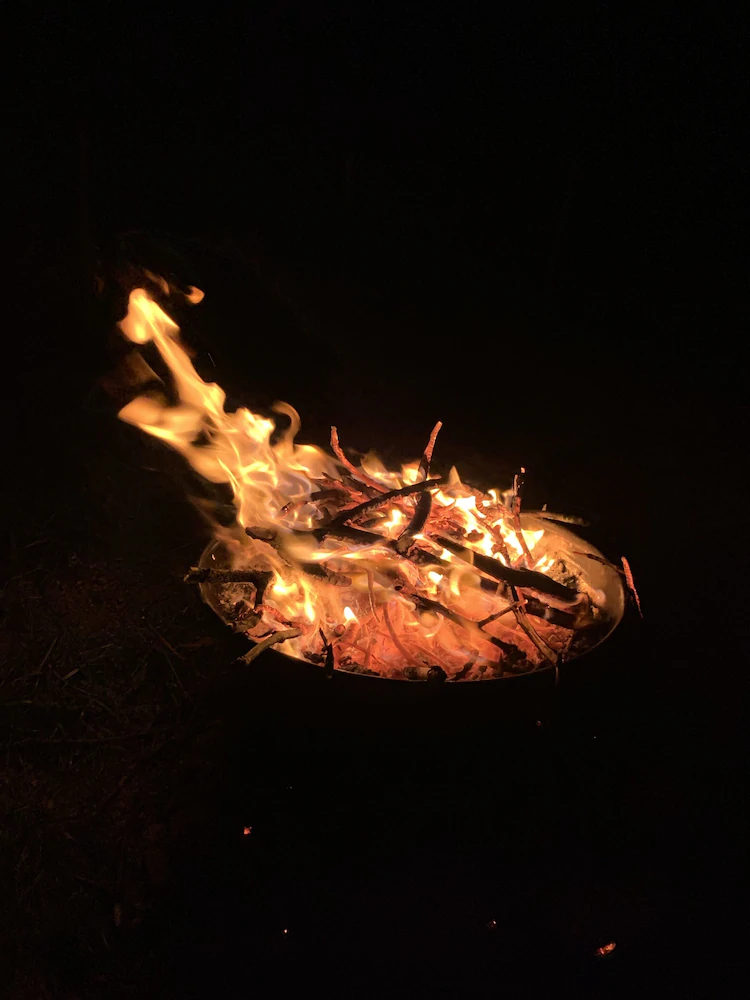 The Wildings Campsite