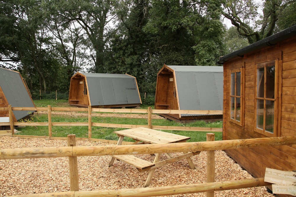 The Wildings Campsite
