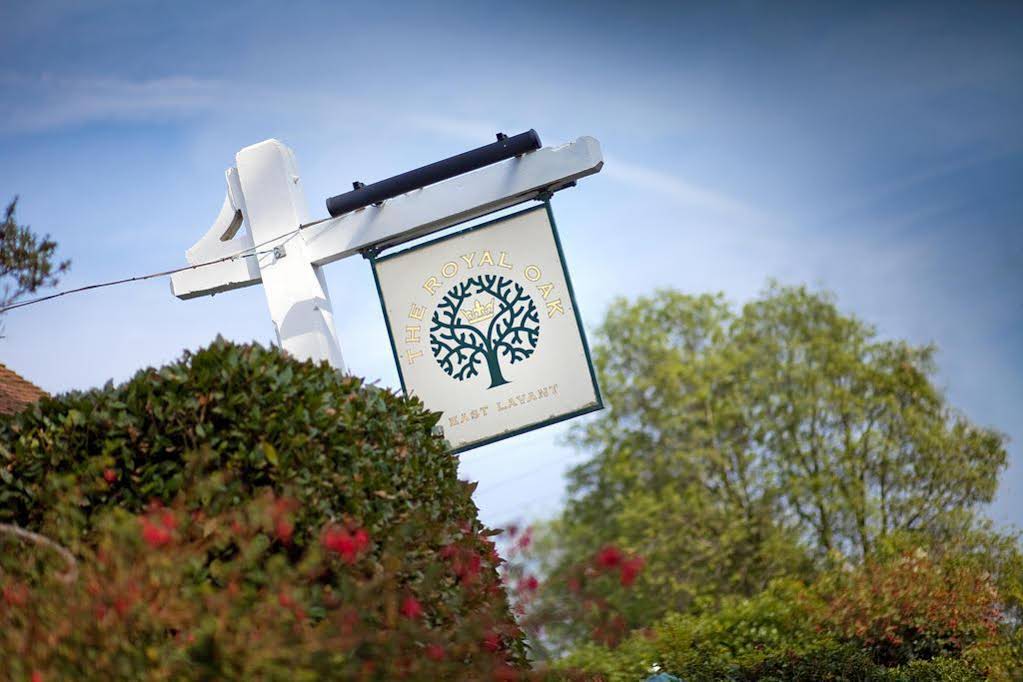 The Royal Oak