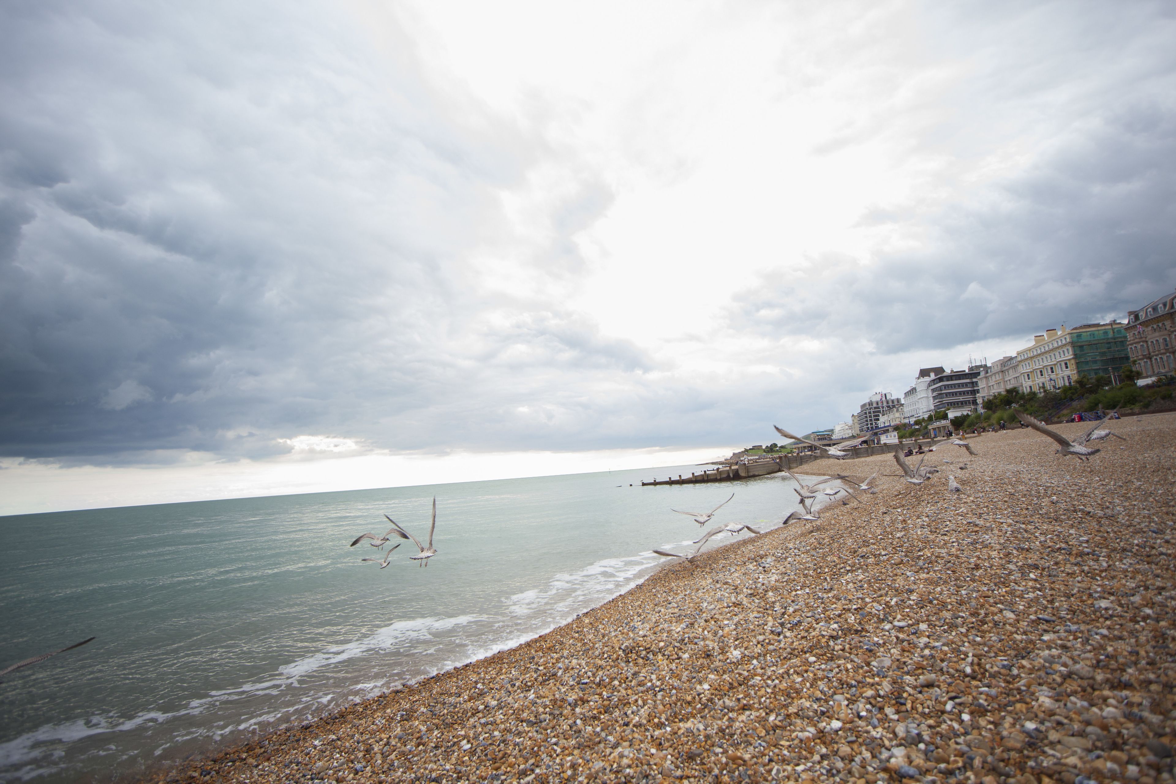 Citrus Hotel Eastbourne