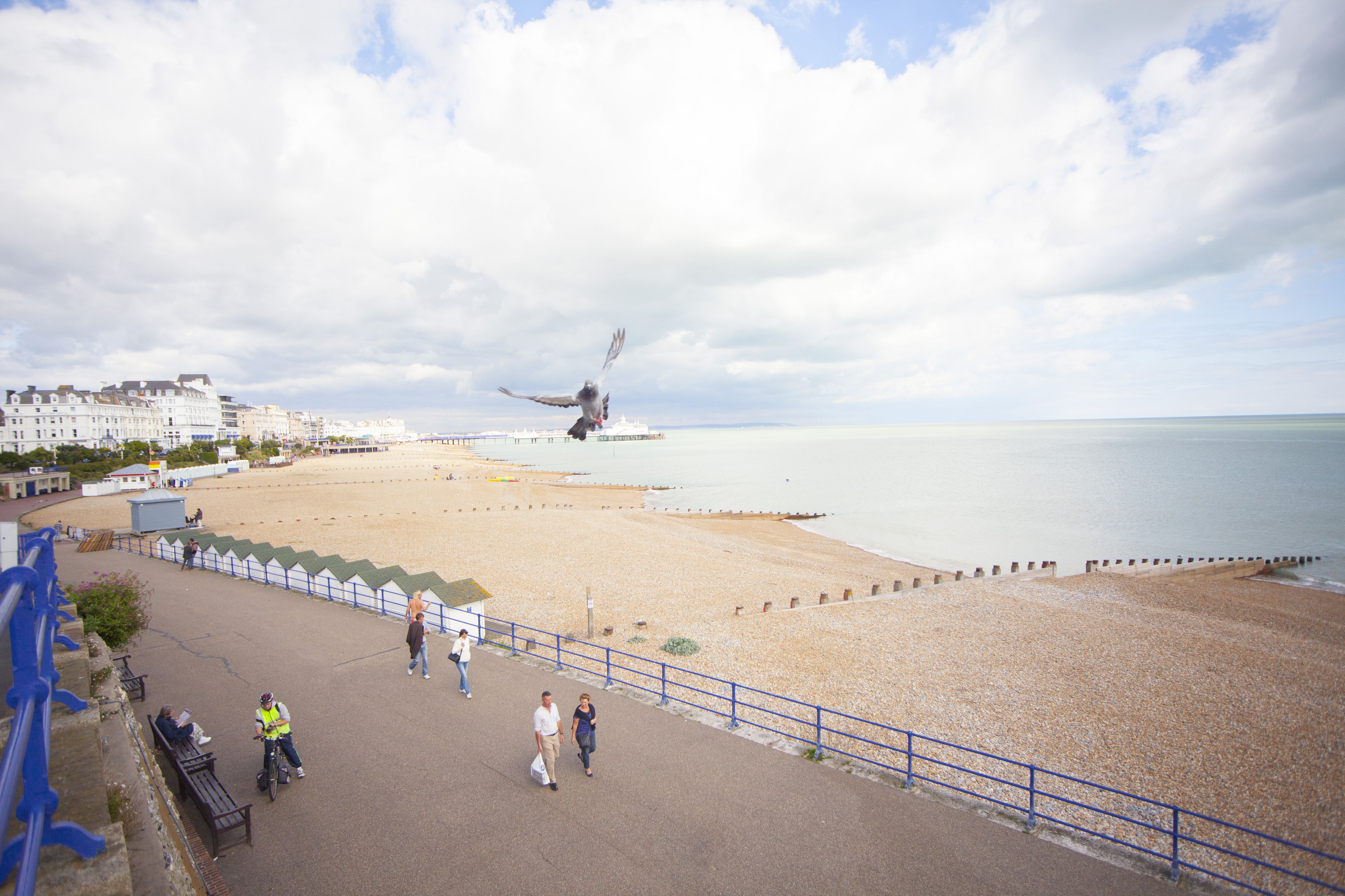 Citrus Hotel Eastbourne