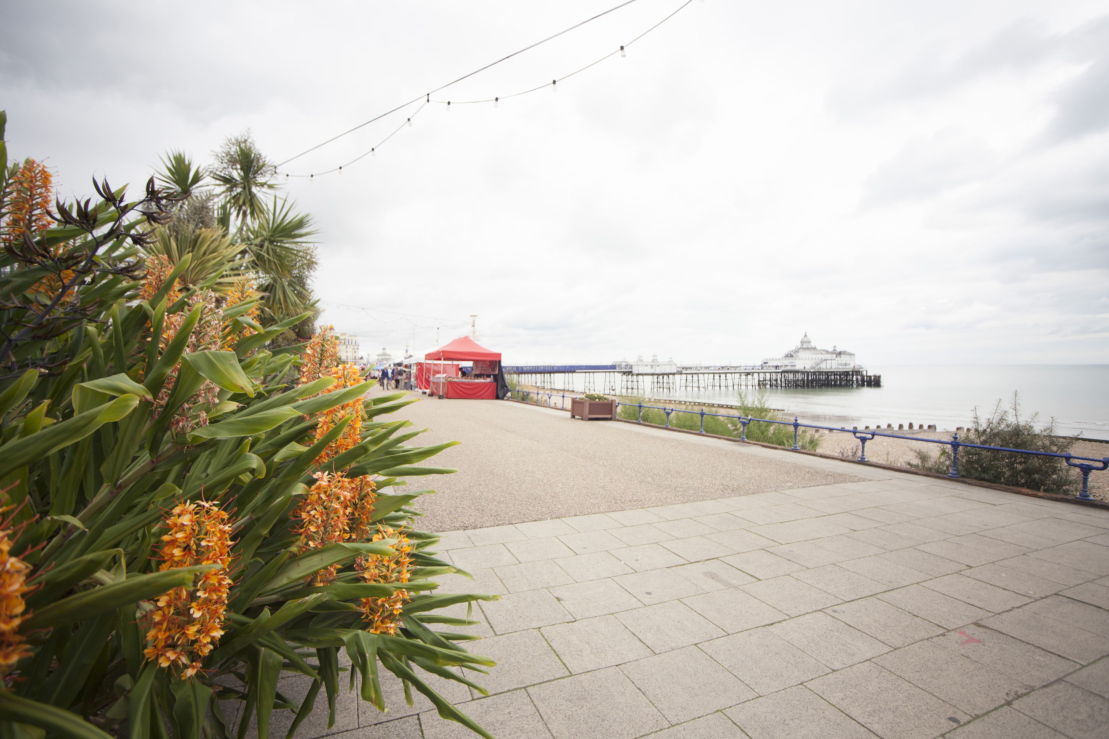 Citrus Hotel Eastbourne