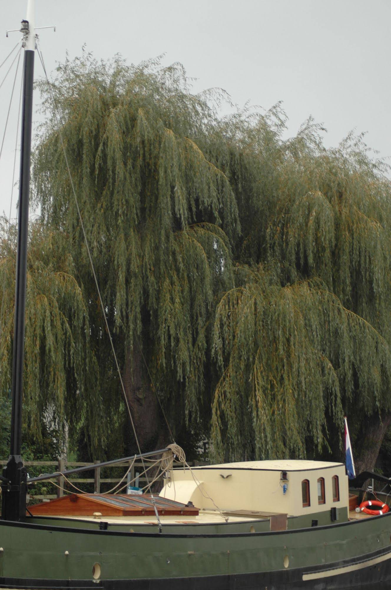 Hotel Barge Waternimf