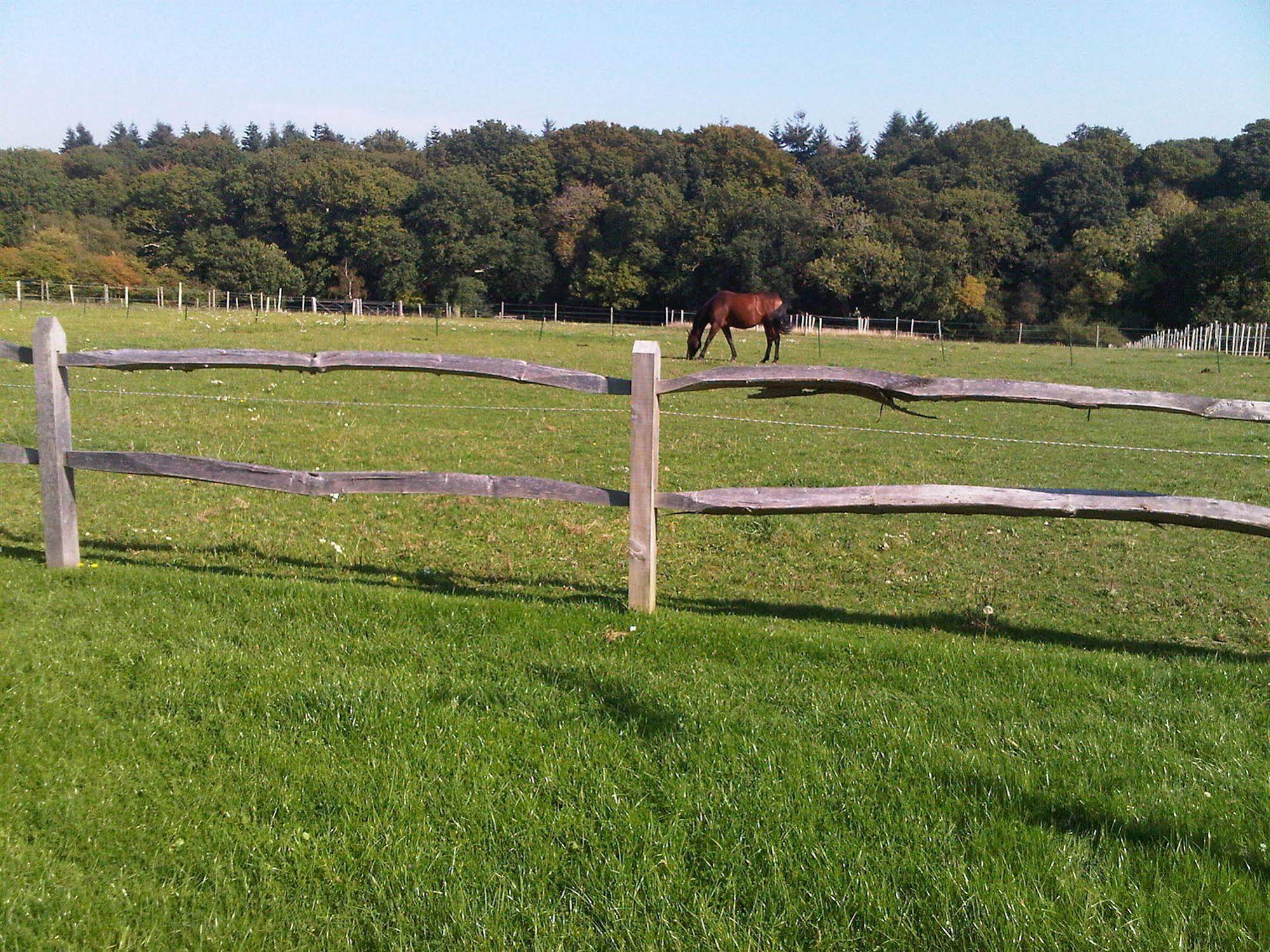 The Old Dairy Farm