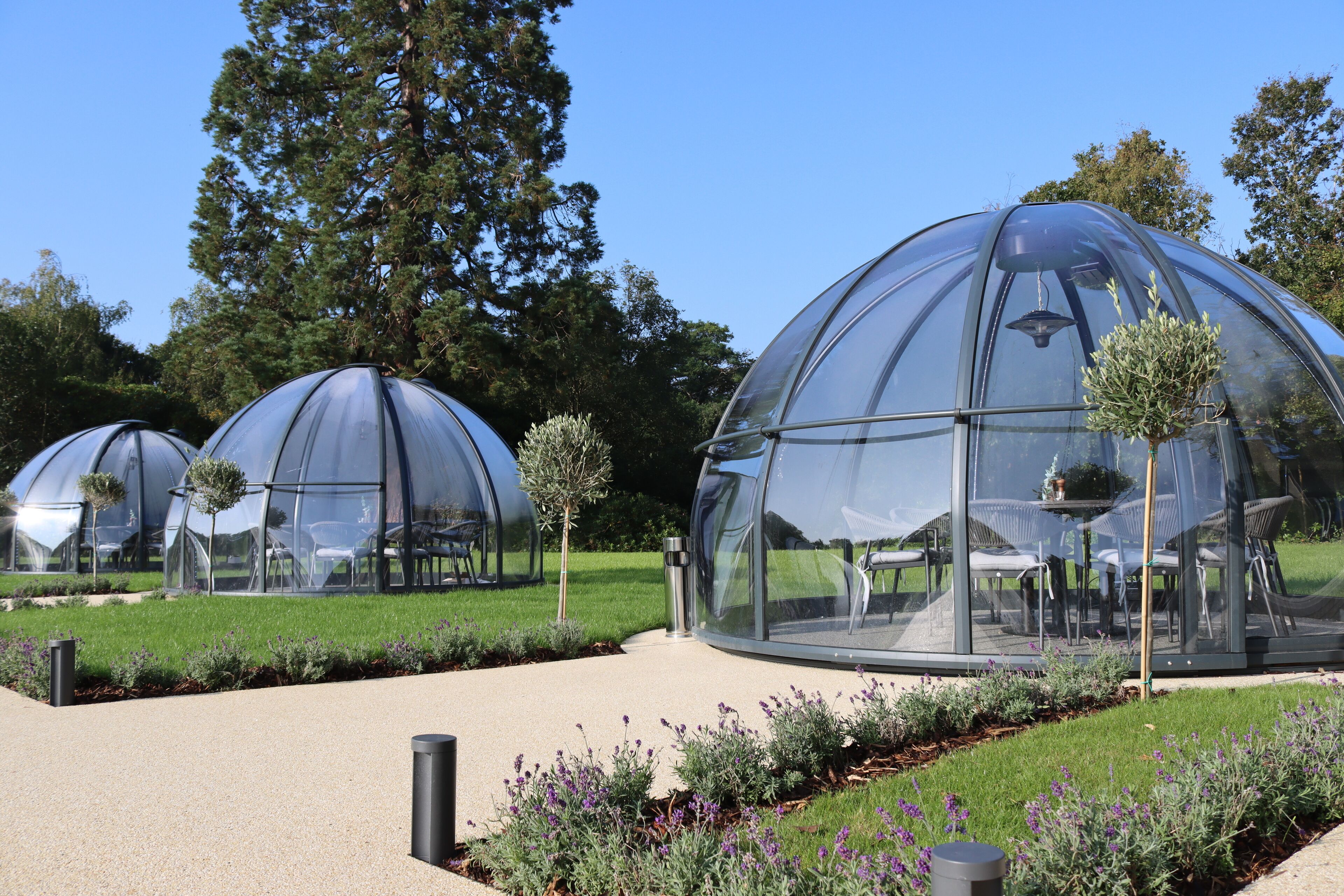 Orange Grove Hotel Gardens