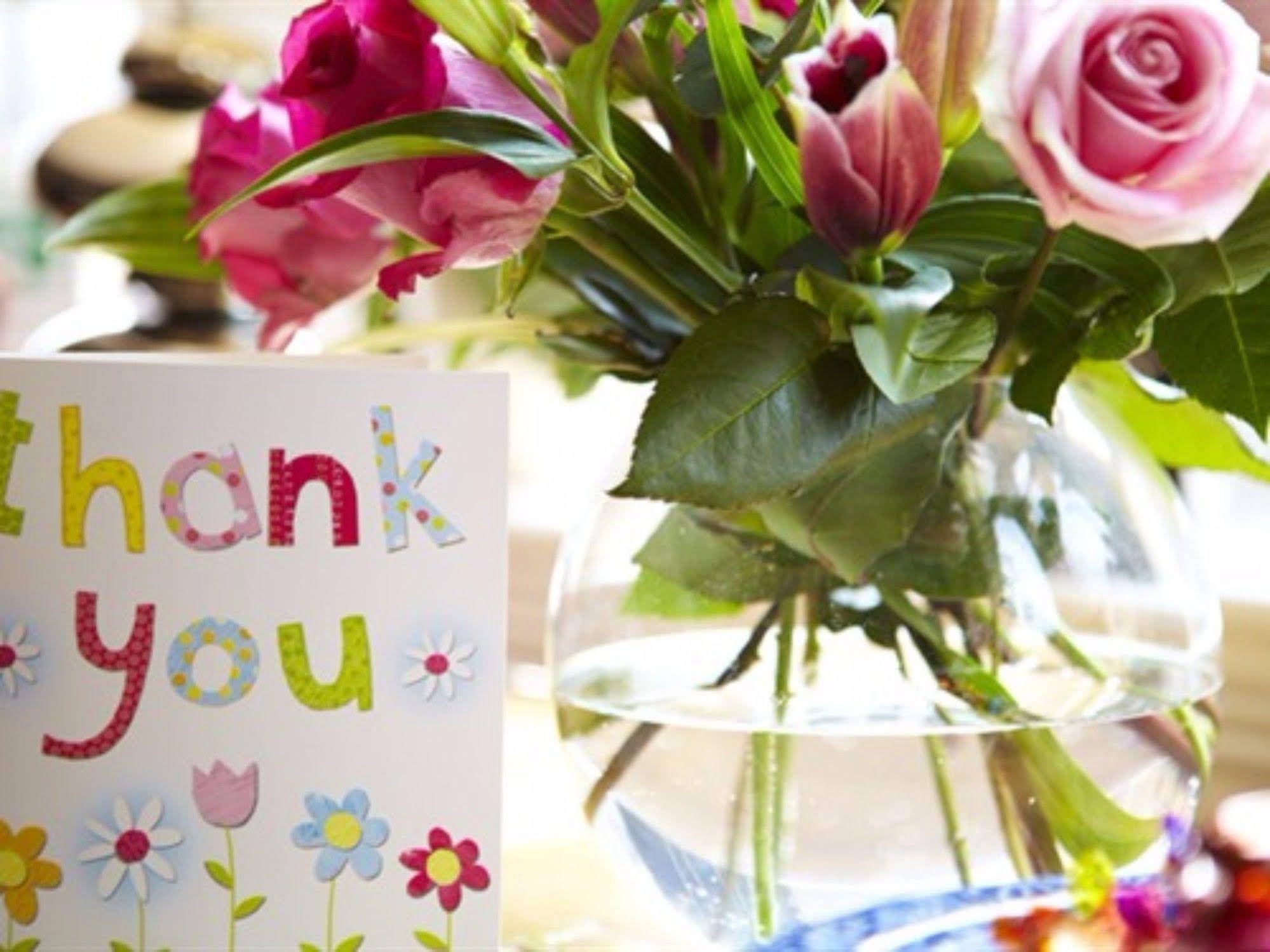 All Seasons Guest House