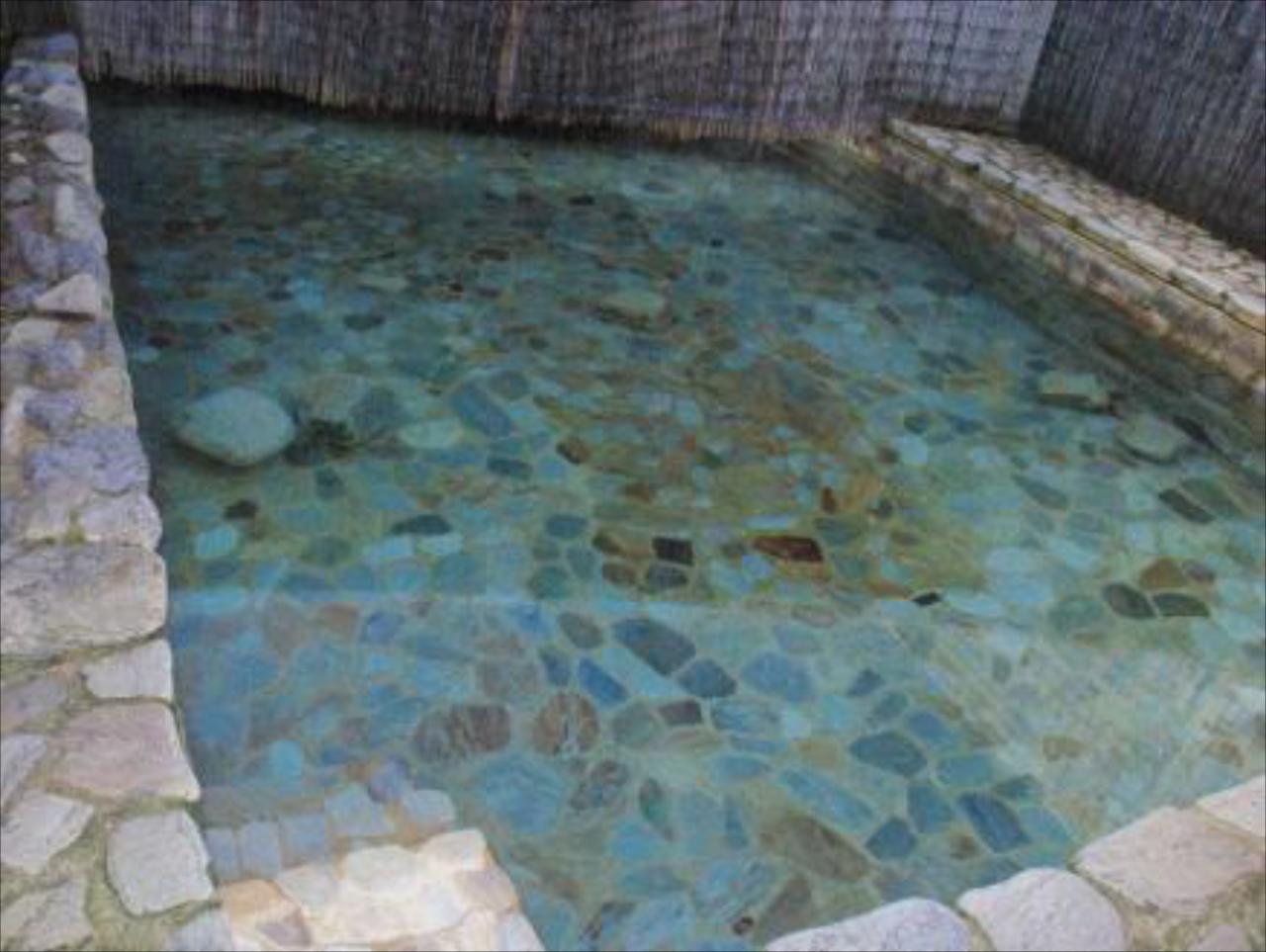 Le Chateau Japonais