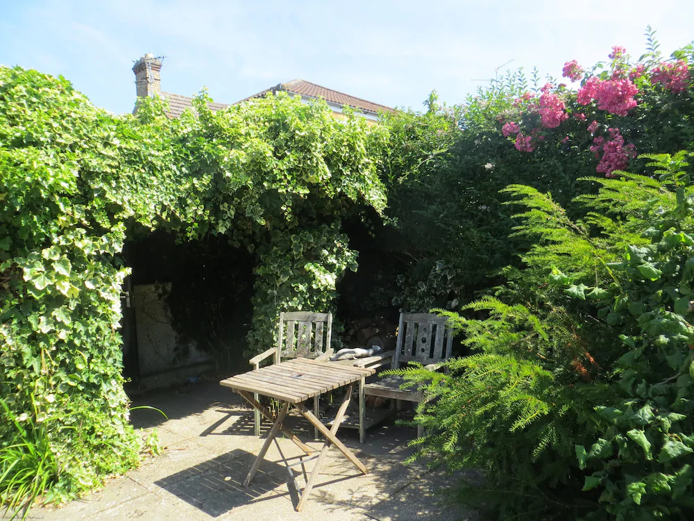 Willow Cottage