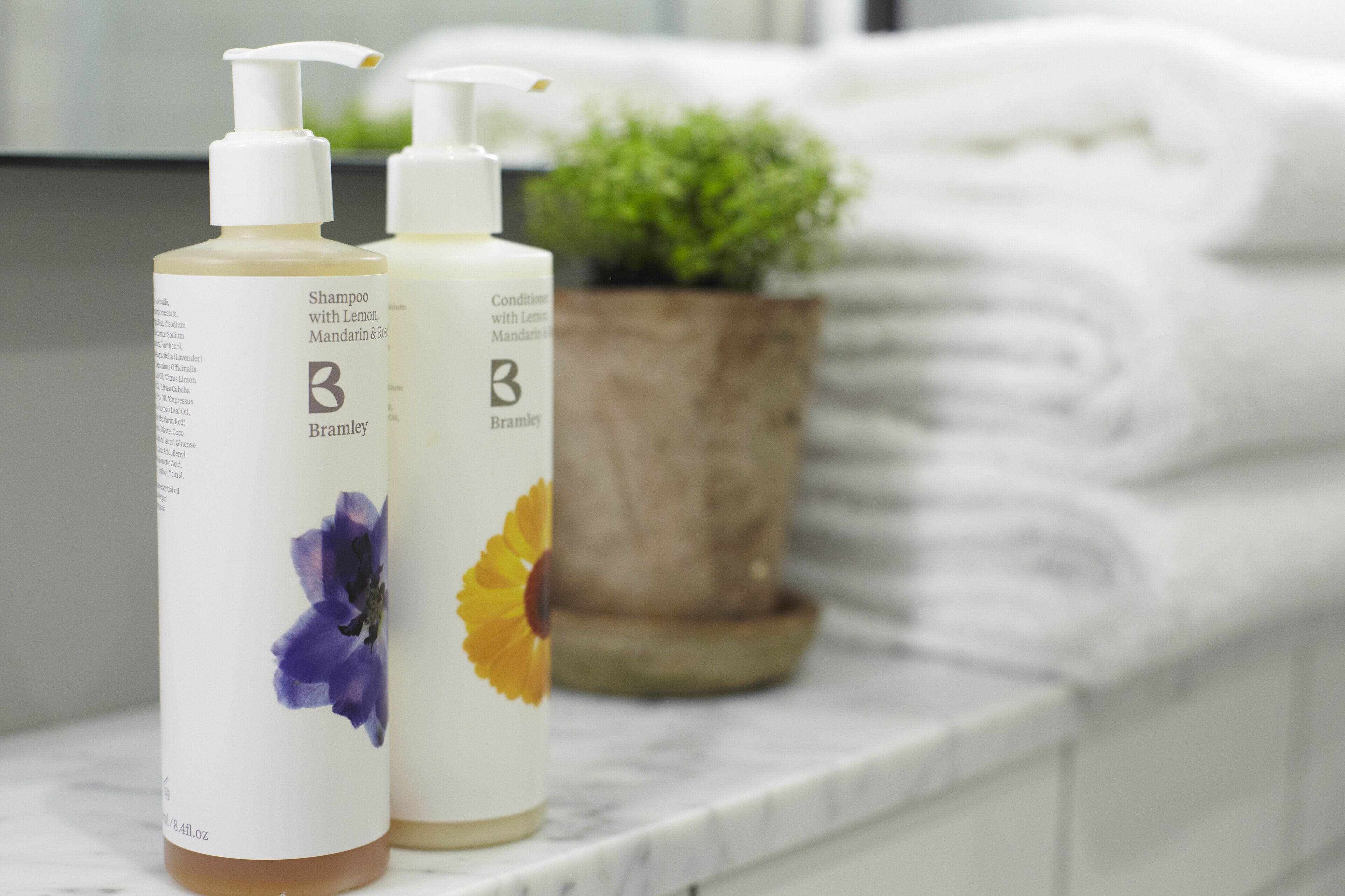Lime Tree by Room Mate Hotels